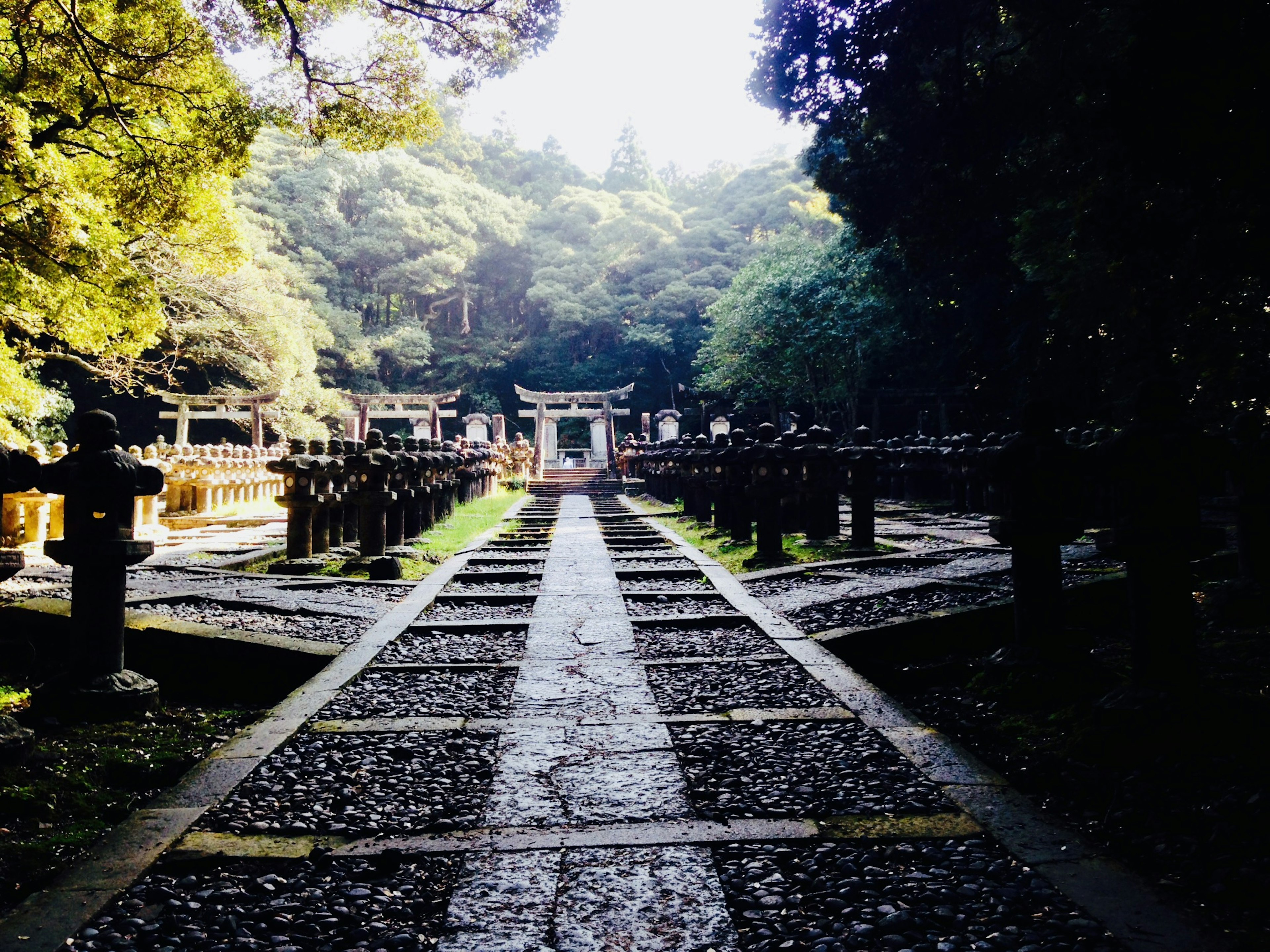 神社の石の道と灯篭が並ぶ緑豊かな景色