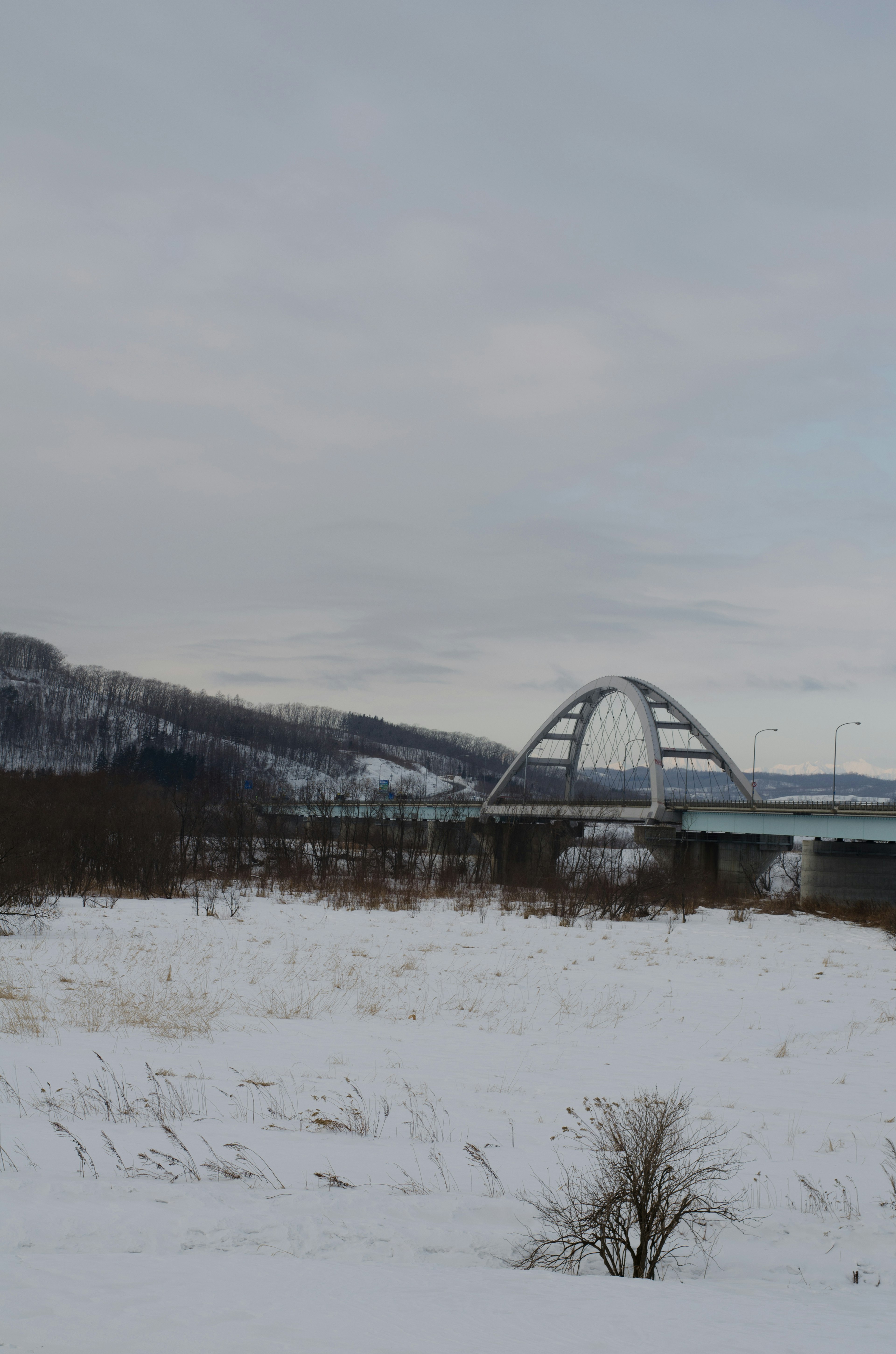 Ponte ad arco su un paesaggio innevato con colline sullo sfondo