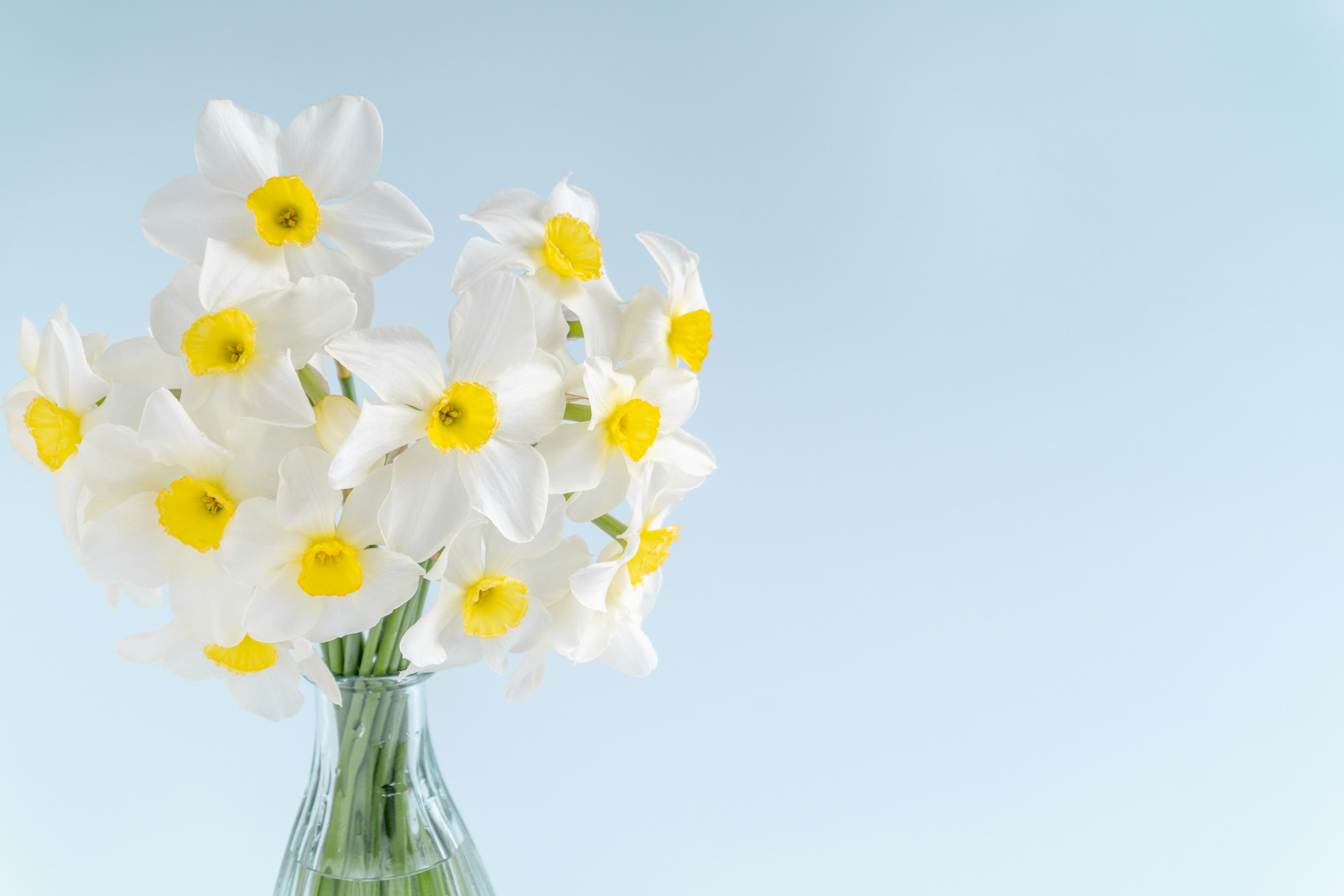 A bouquet of white daffodils in a clear vase