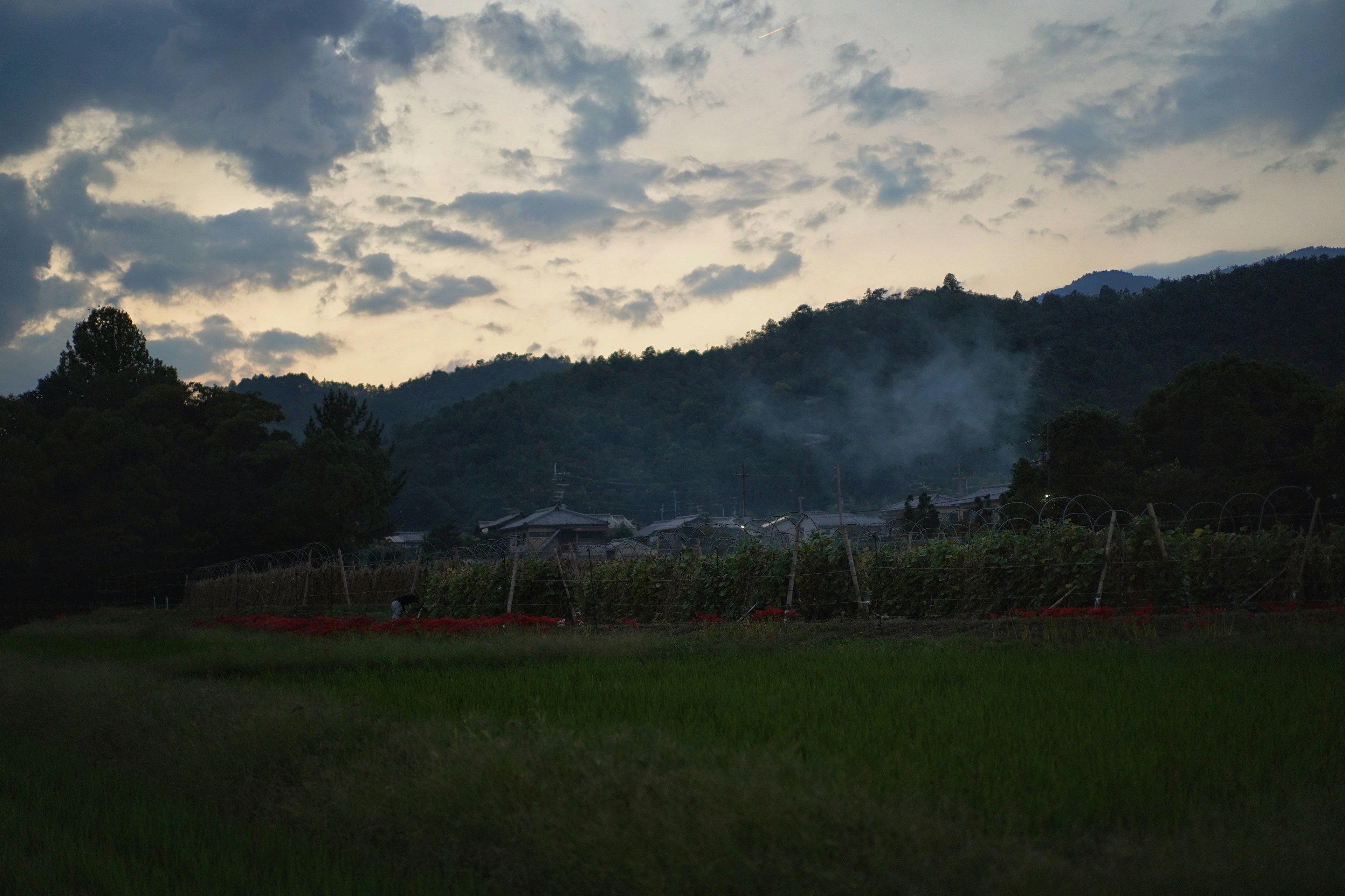 Pemandangan senja di sebuah pertanian dengan rumput hijau dan pegunungan yang bersiluet