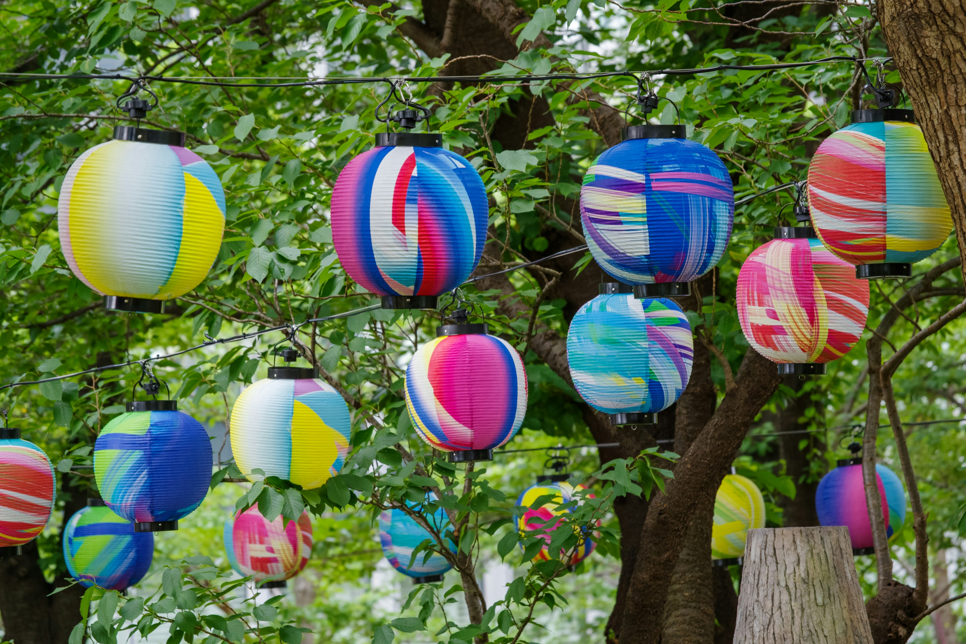 Des lanternes colorées suspendues entre des arbres dans un cadre vibrant