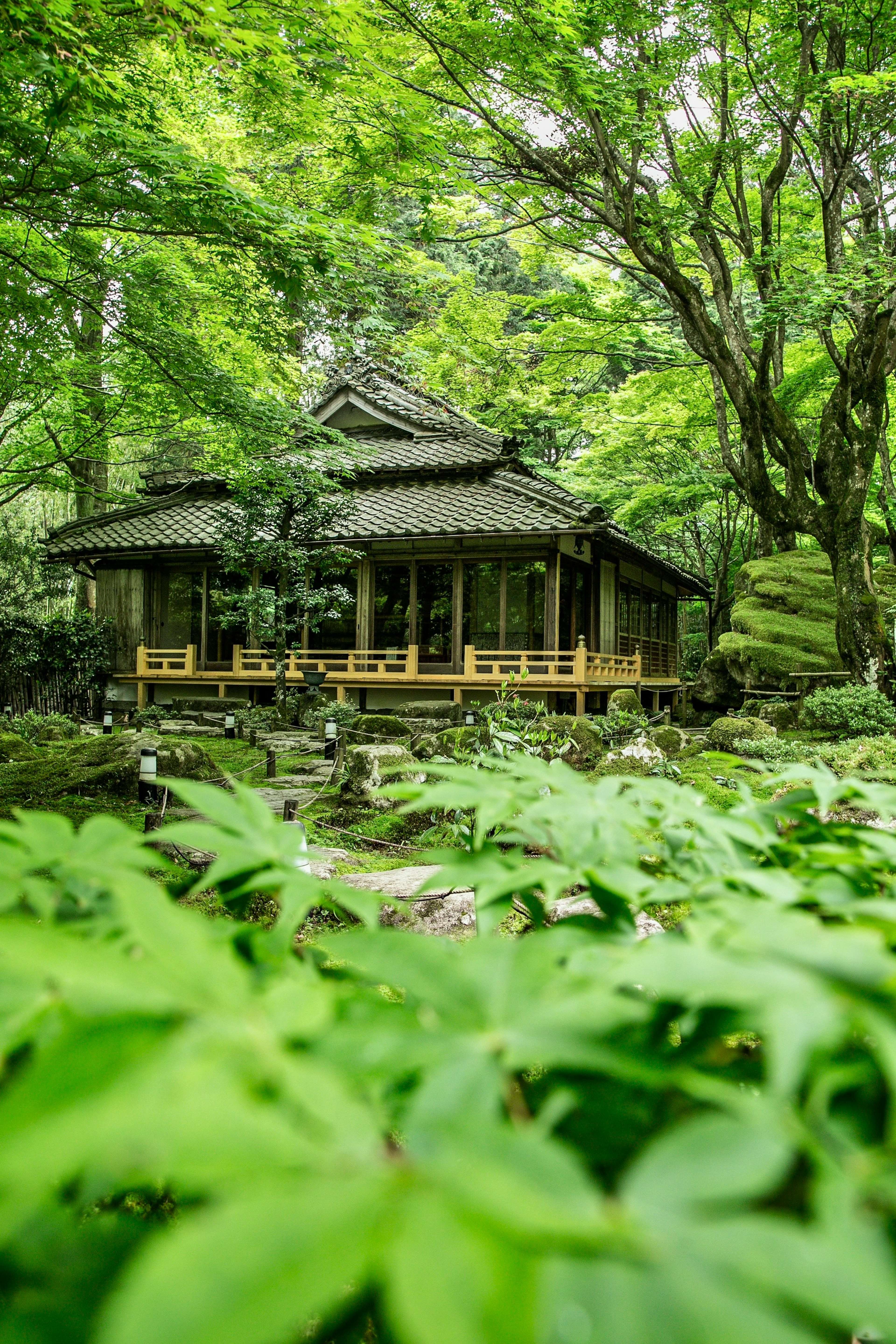 被郁郁葱葱的绿树环绕的传统日本房屋