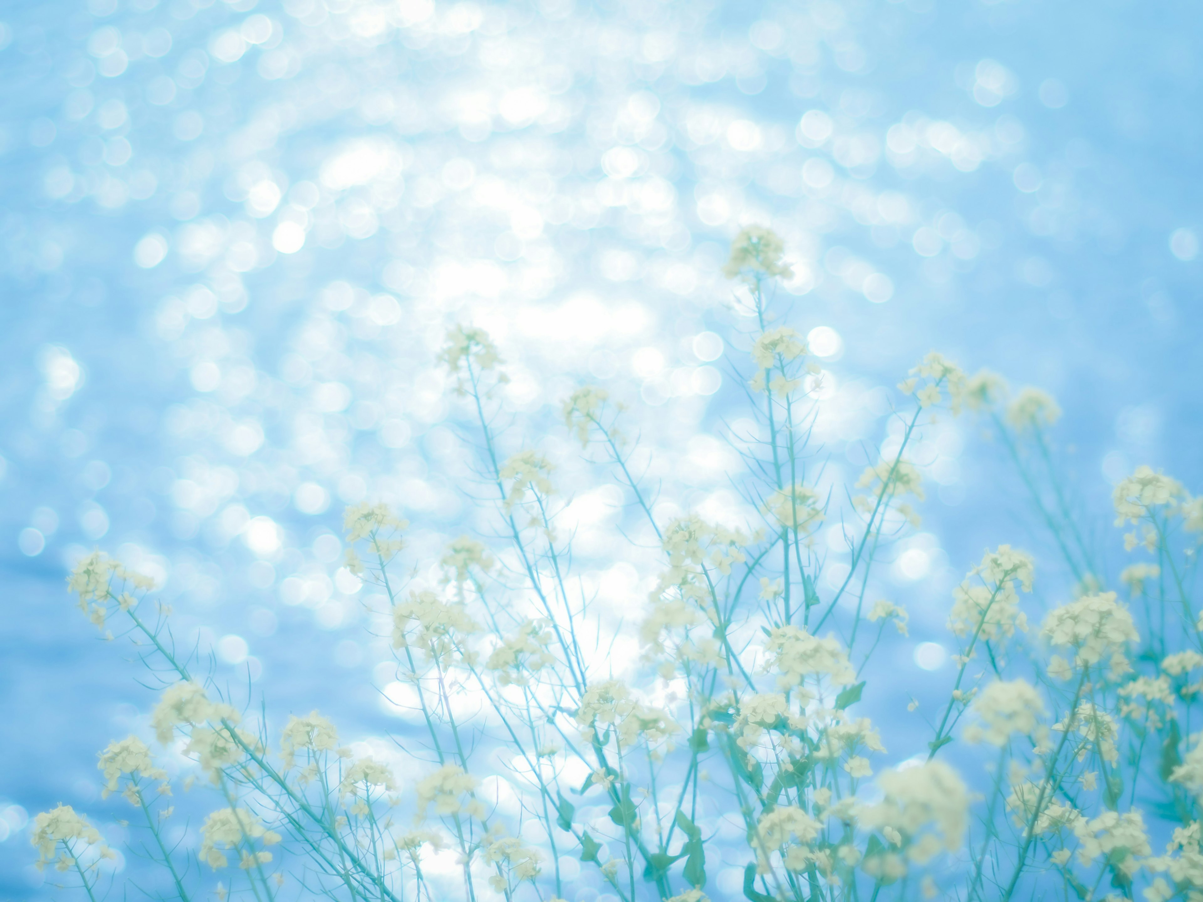 Beau paysage avec des fleurs jaunes sur fond bleu