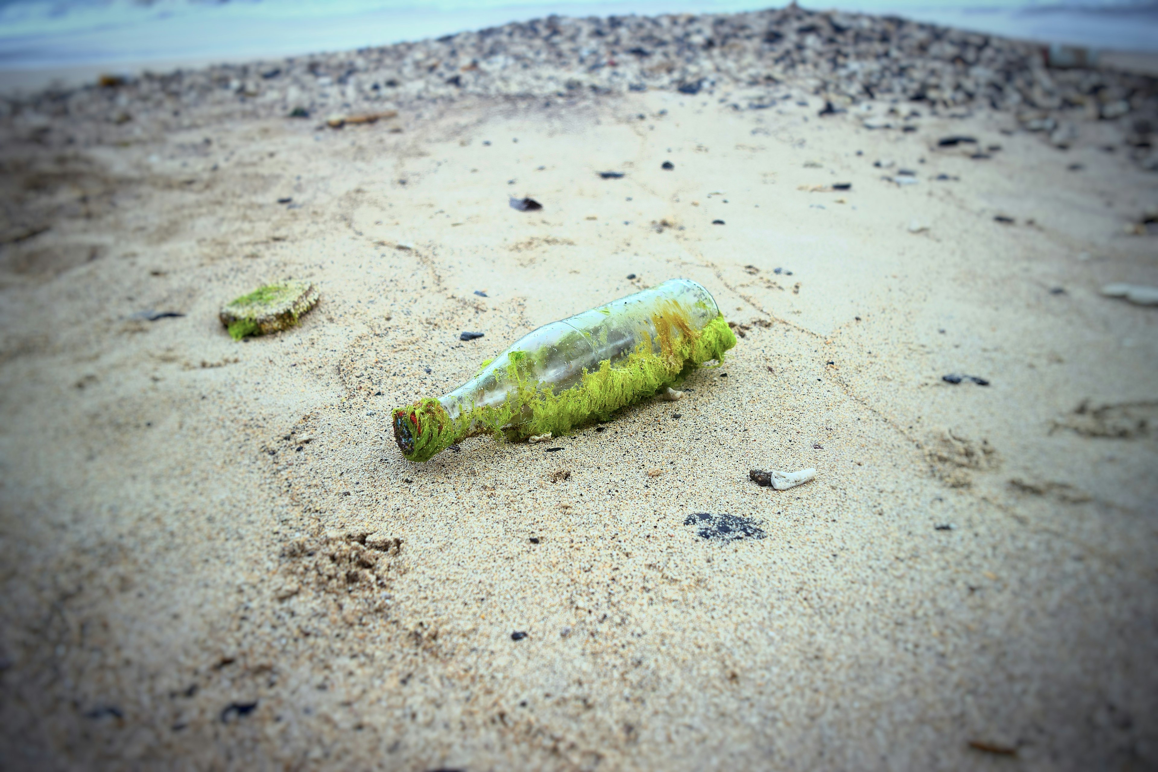 Botella de vidrio cubierta de algas verdes en una playa de arena