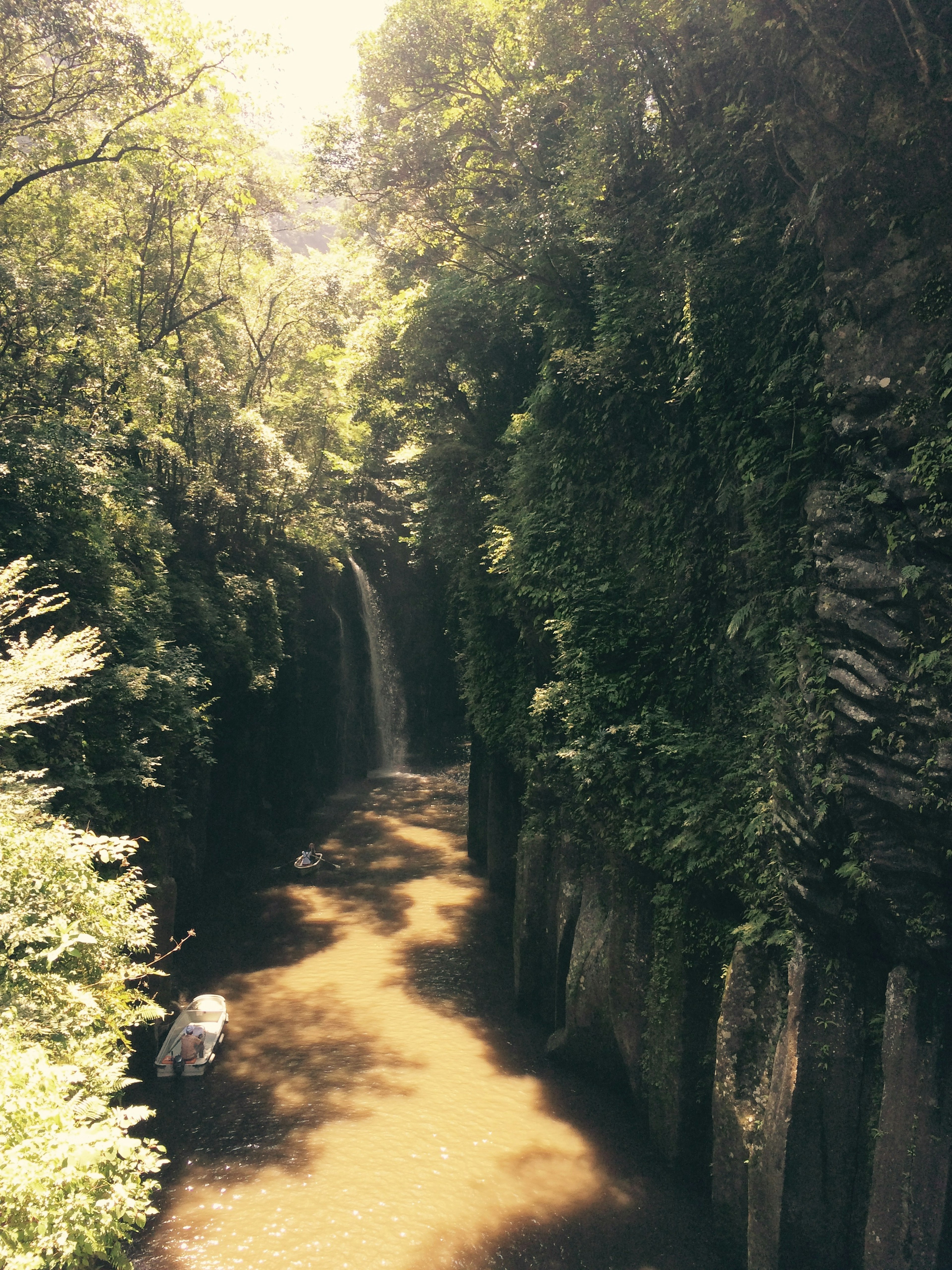 Scenic view of a stream and waterfall surrounded by lush greenery