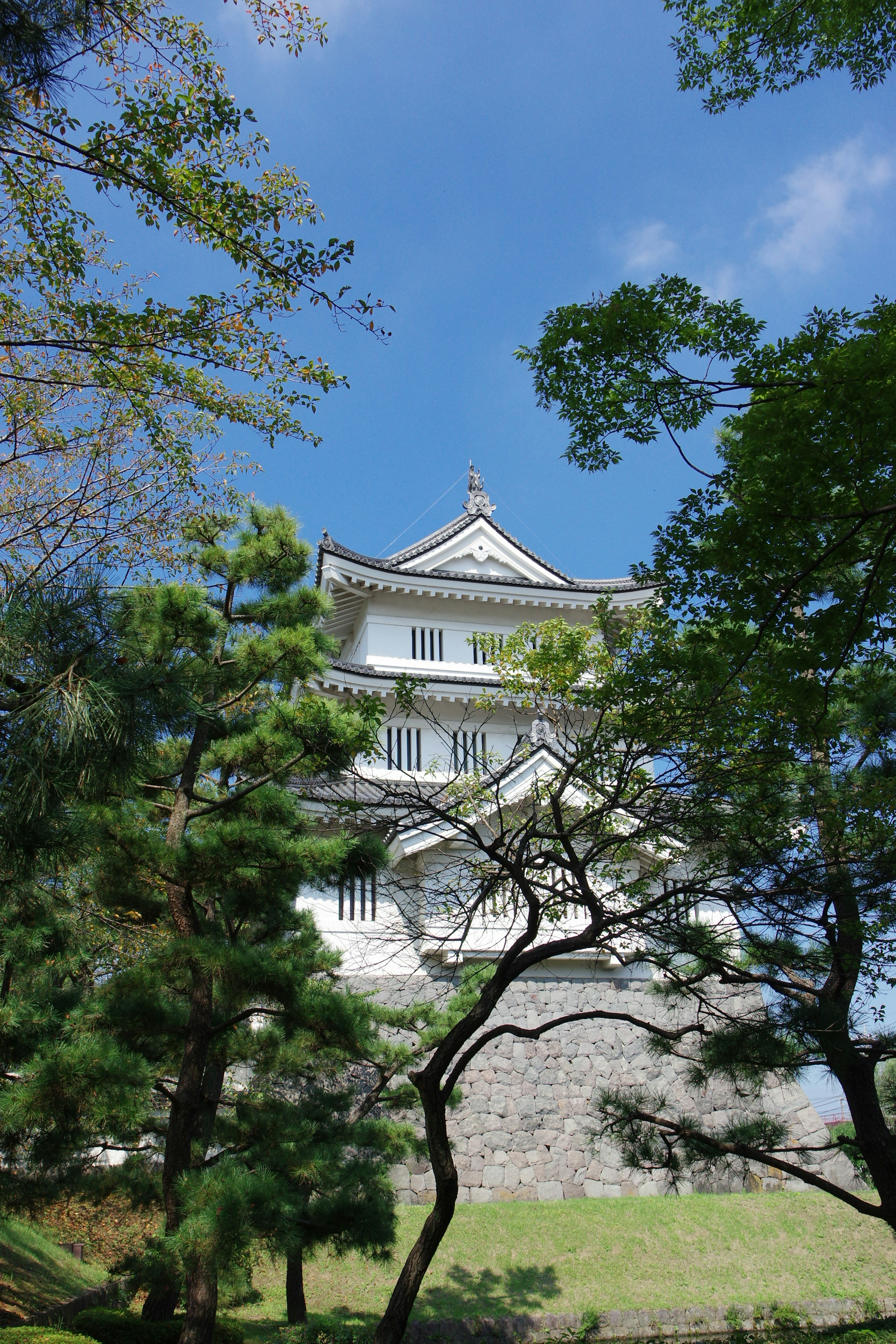 A white castle under a blue sky surrounded by green trees