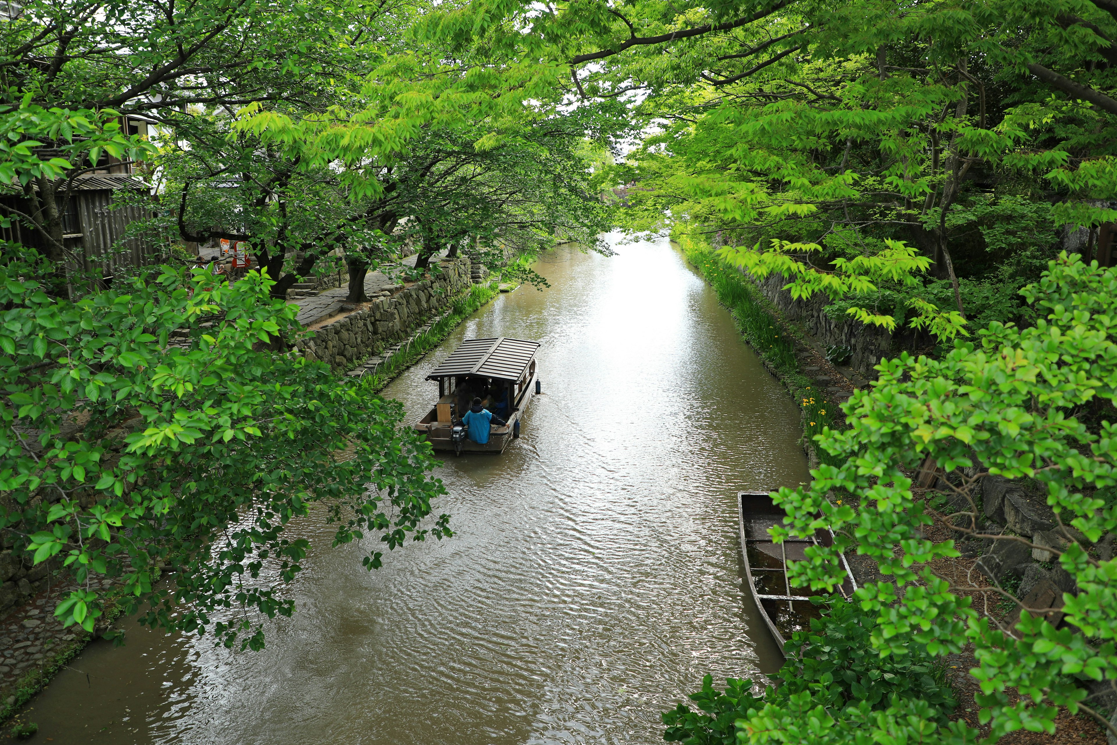 緑の木々に囲まれた静かな水路を進む小舟