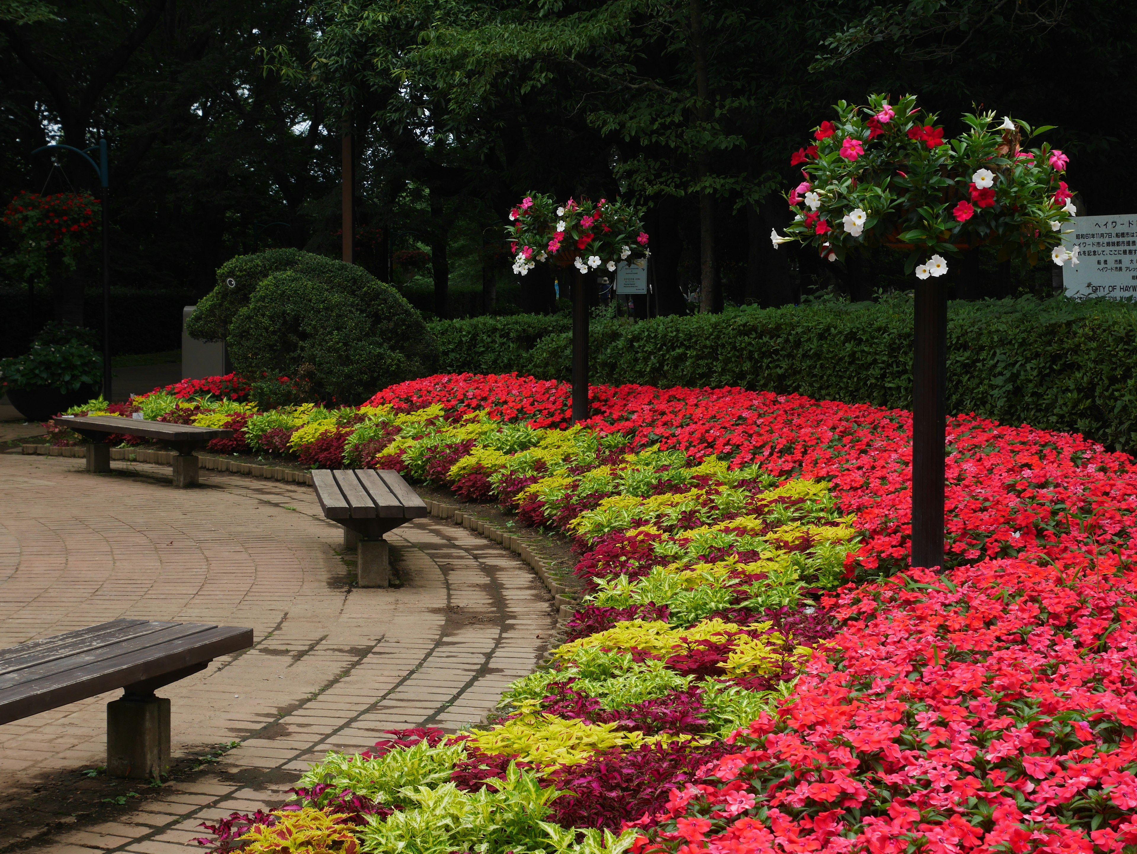 Colorful flower garden in a park with benches and hanging flower pots