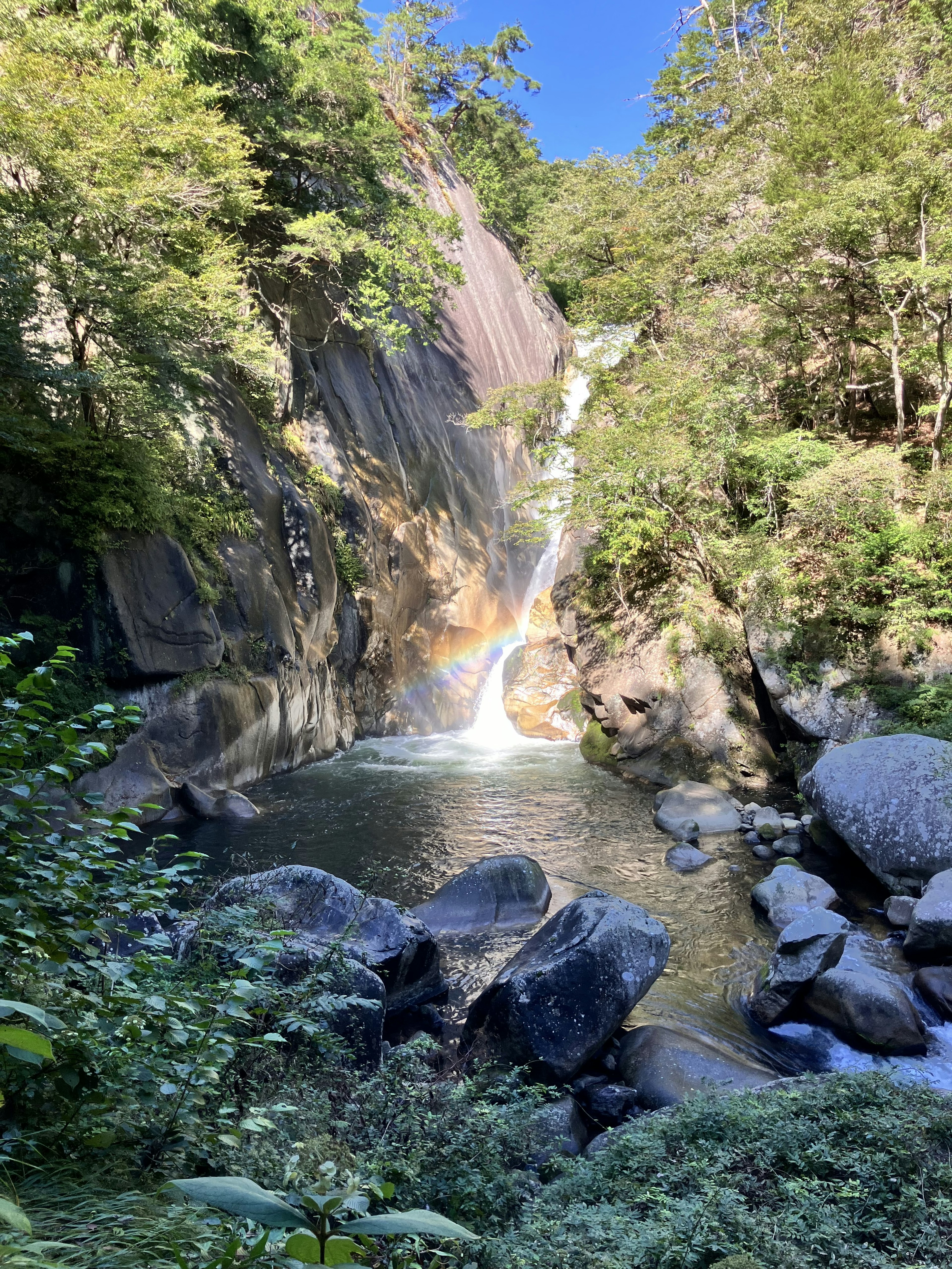 美しい滝と緑の木々に囲まれた静かな池