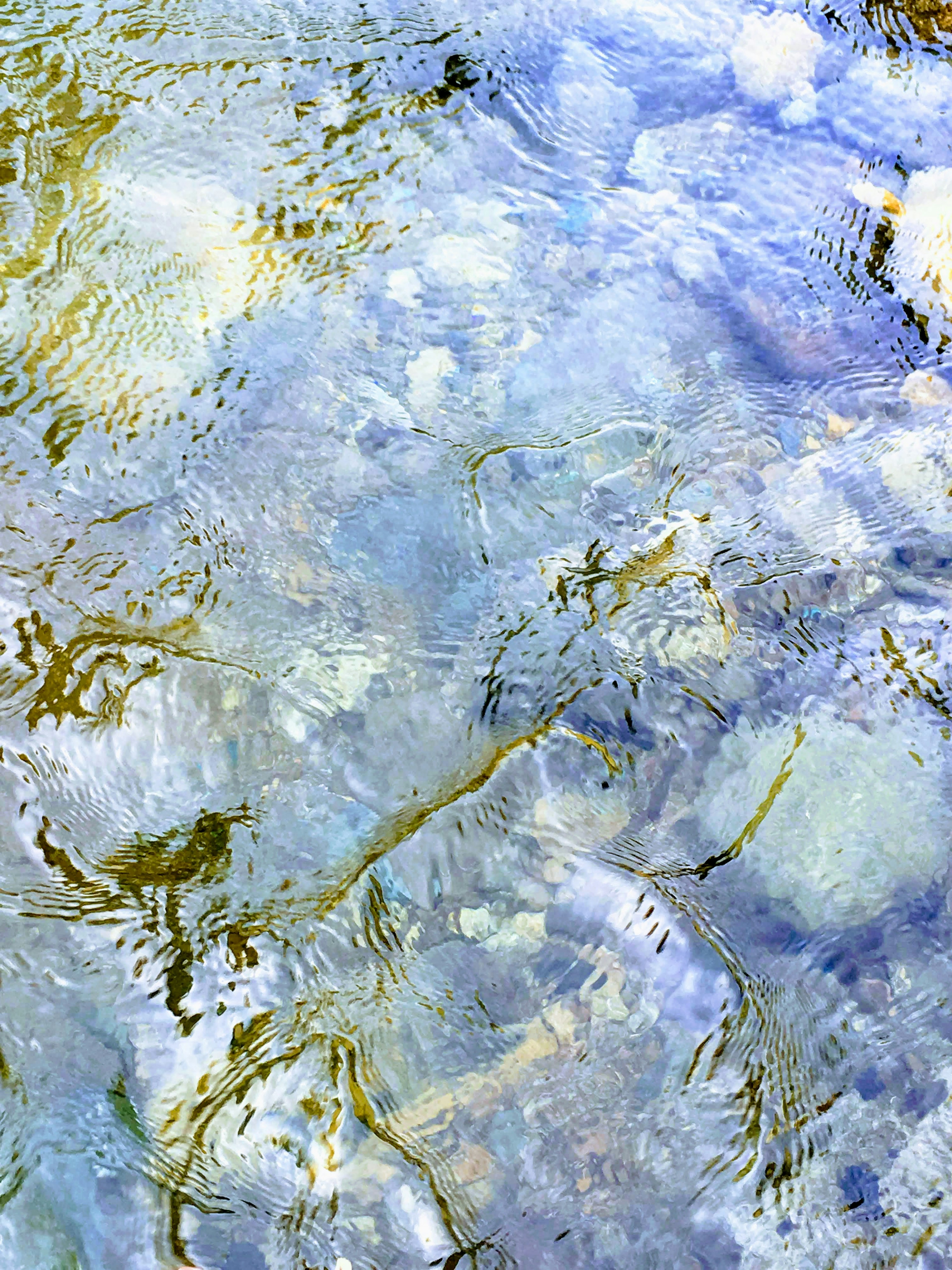 Ondulations bleues douces et ombres de plantes sur la surface de l'eau