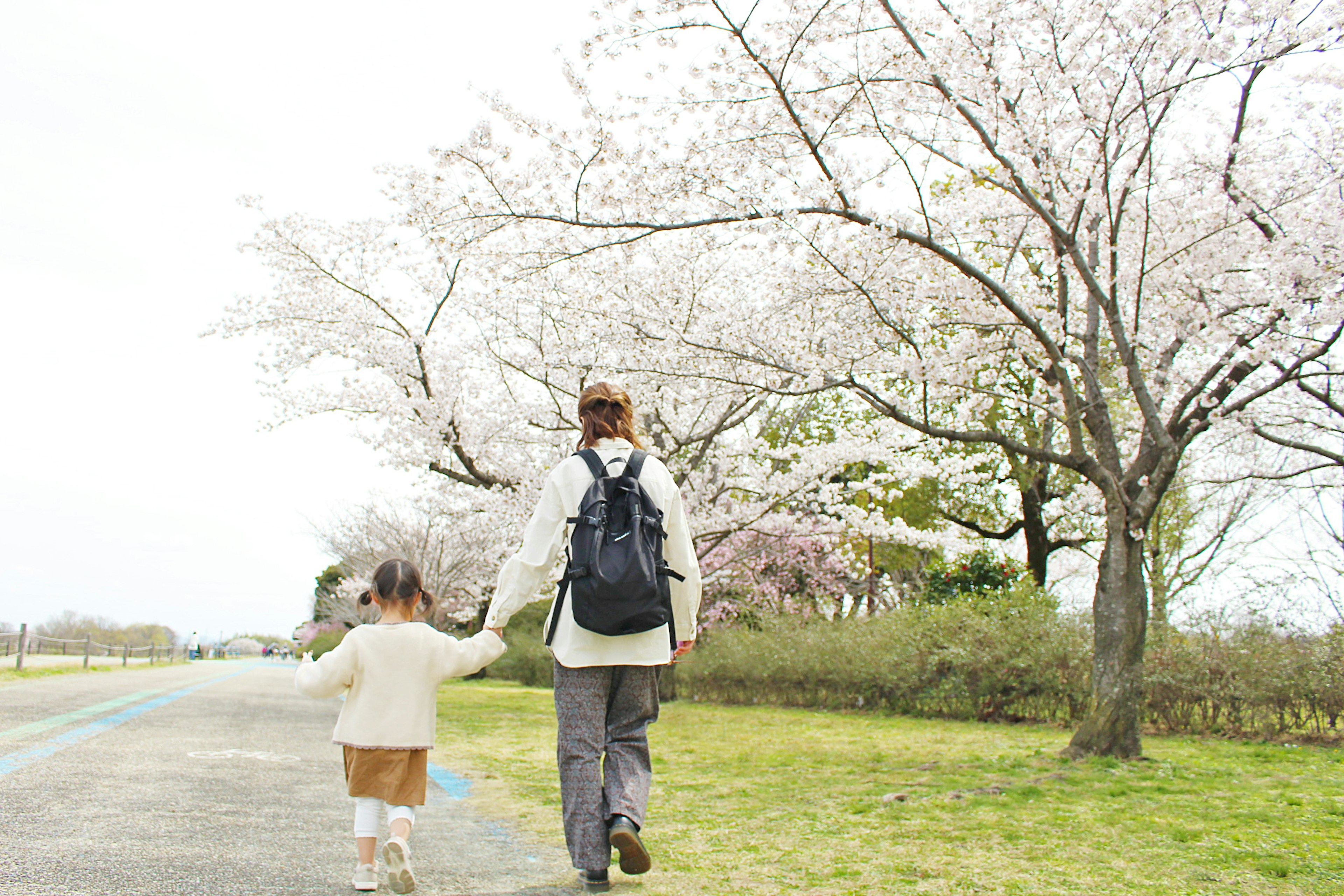 A mother and child walking hand in hand under cherry blossom trees