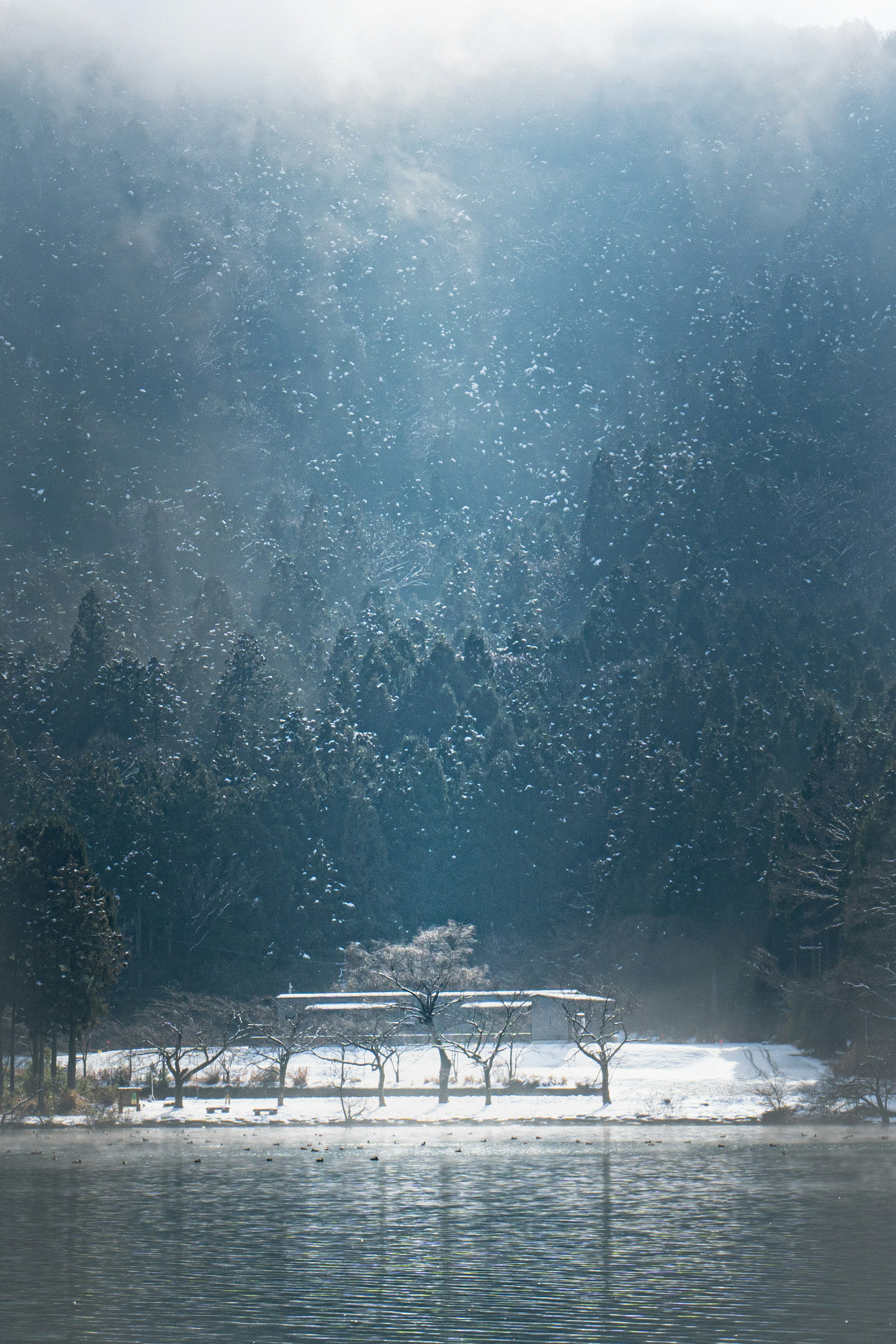 雪に覆われた風景の中にある静かな家と木々の景色