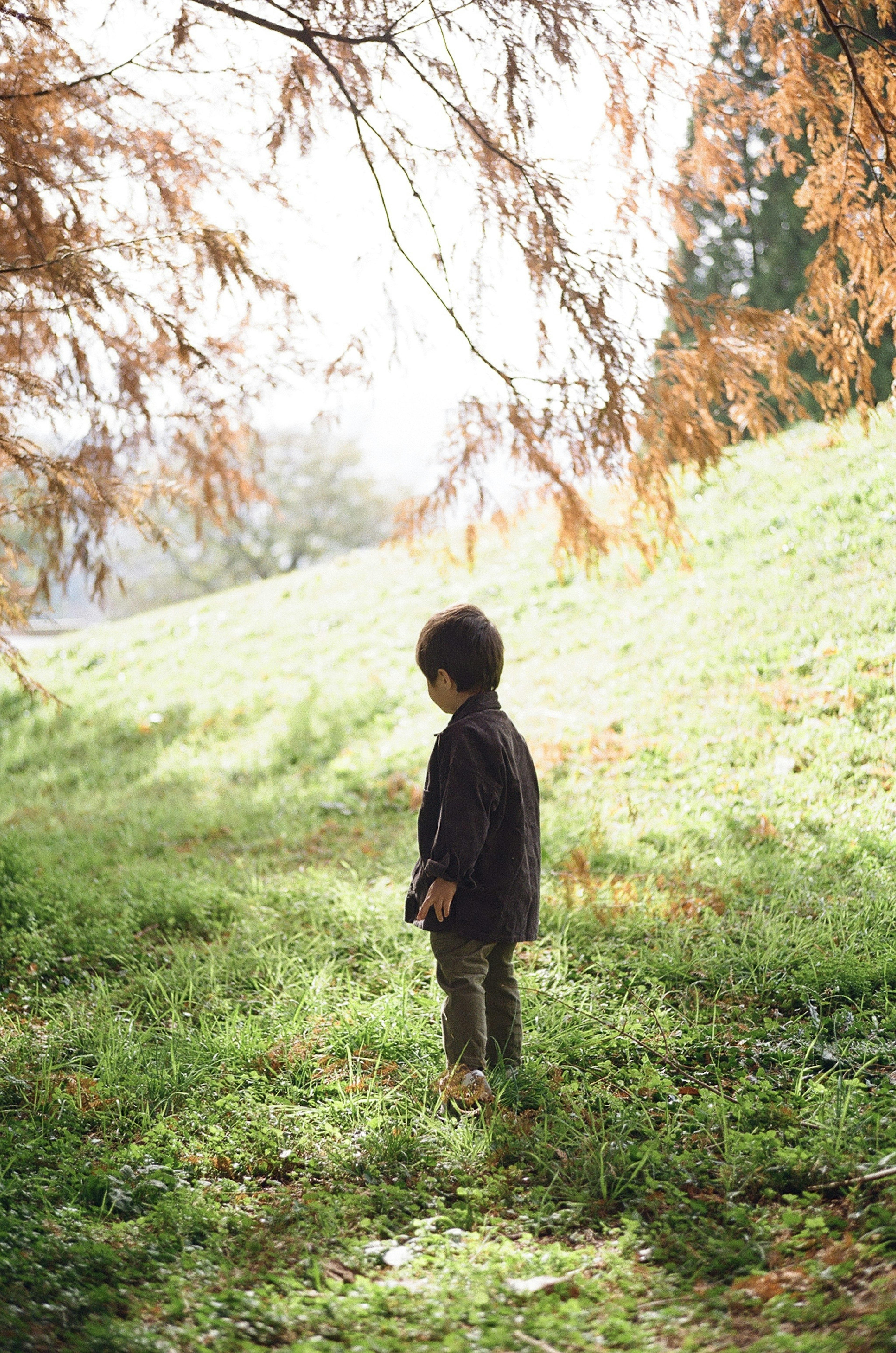 Un bambino in piedi nell'erba verde in un paesaggio autunnale