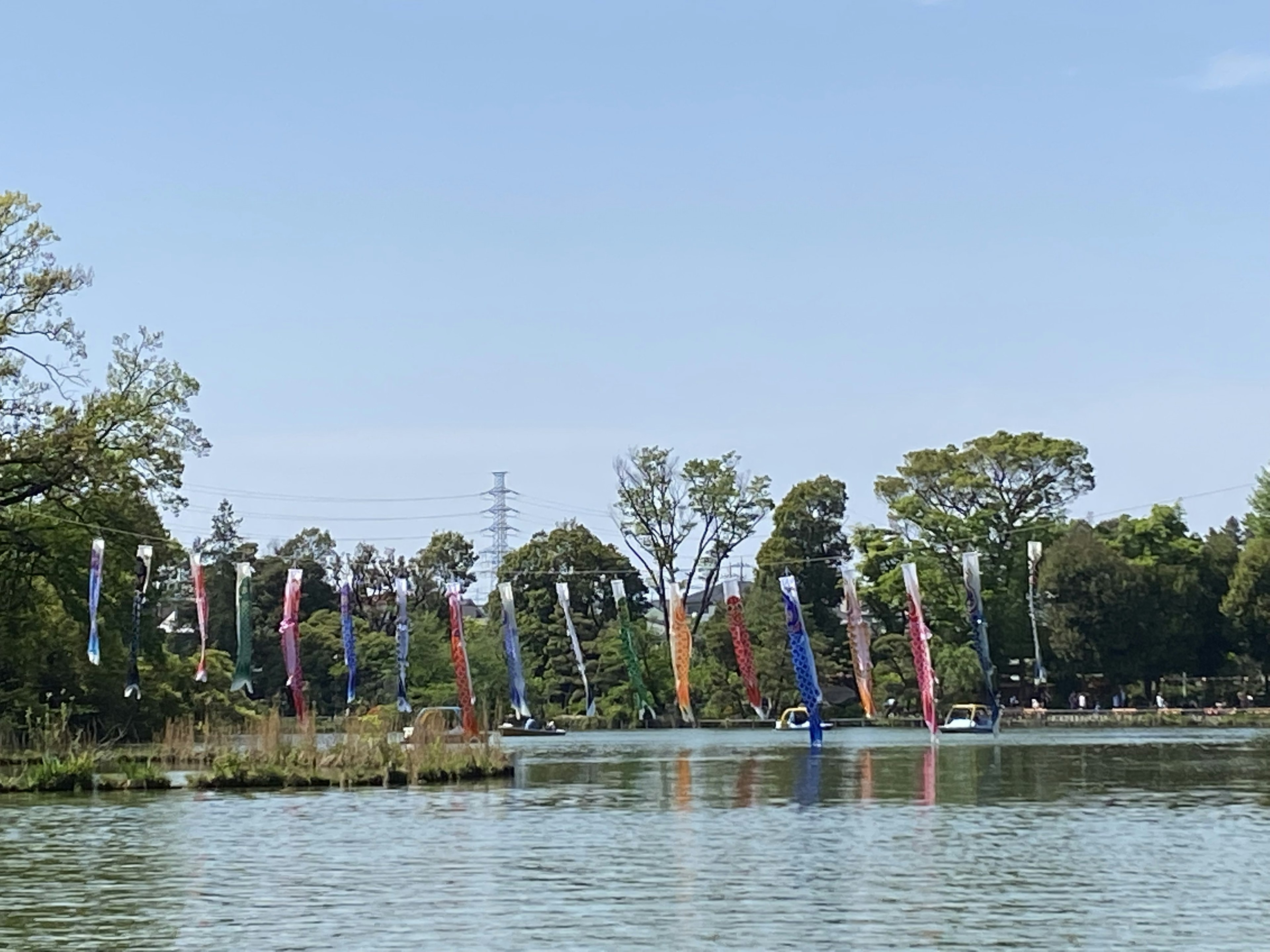 美しい湖の近くに立ち並ぶカラフルな旗と緑の木々