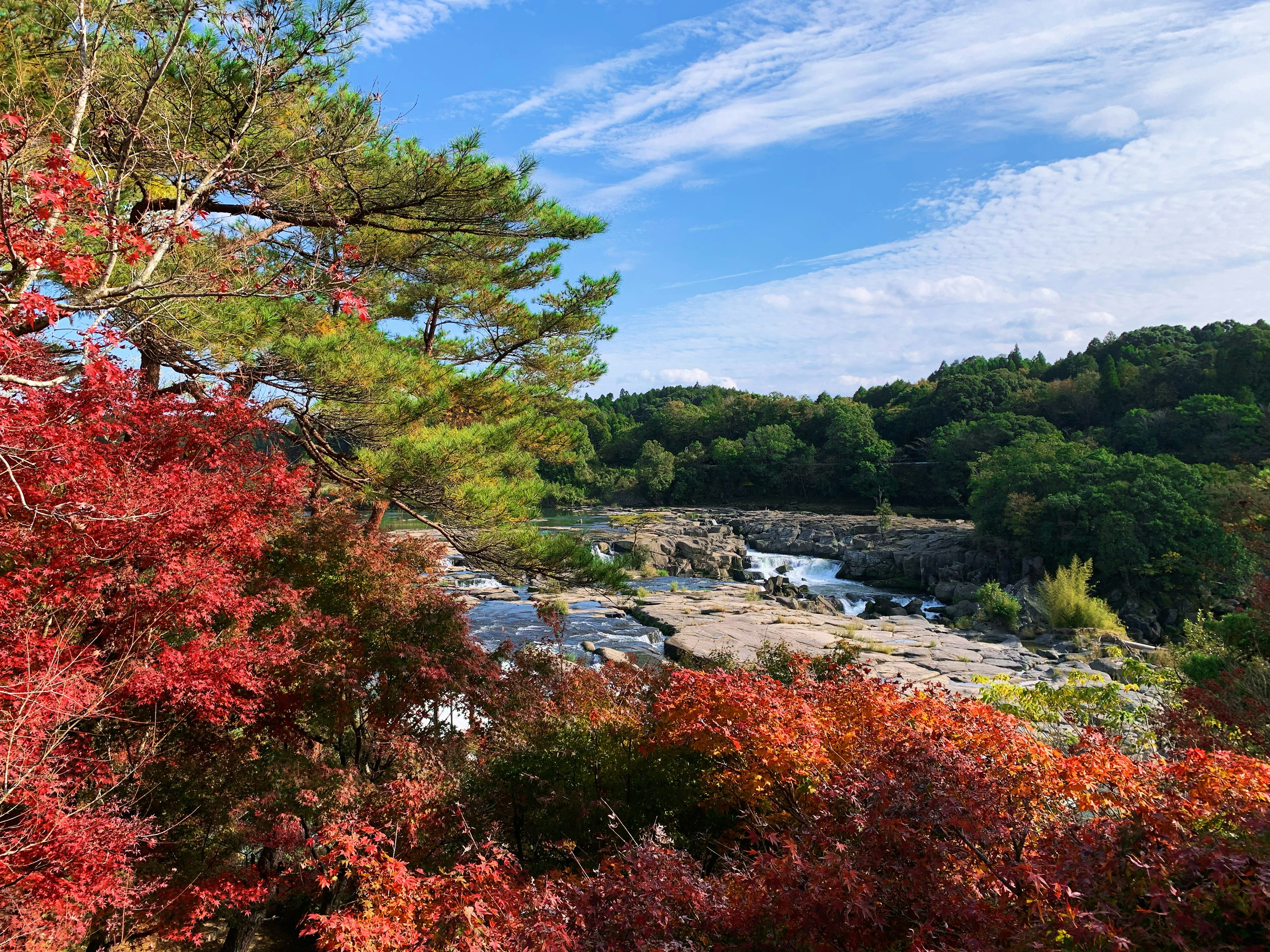 紅葉した木々と青空の下に流れる川の風景