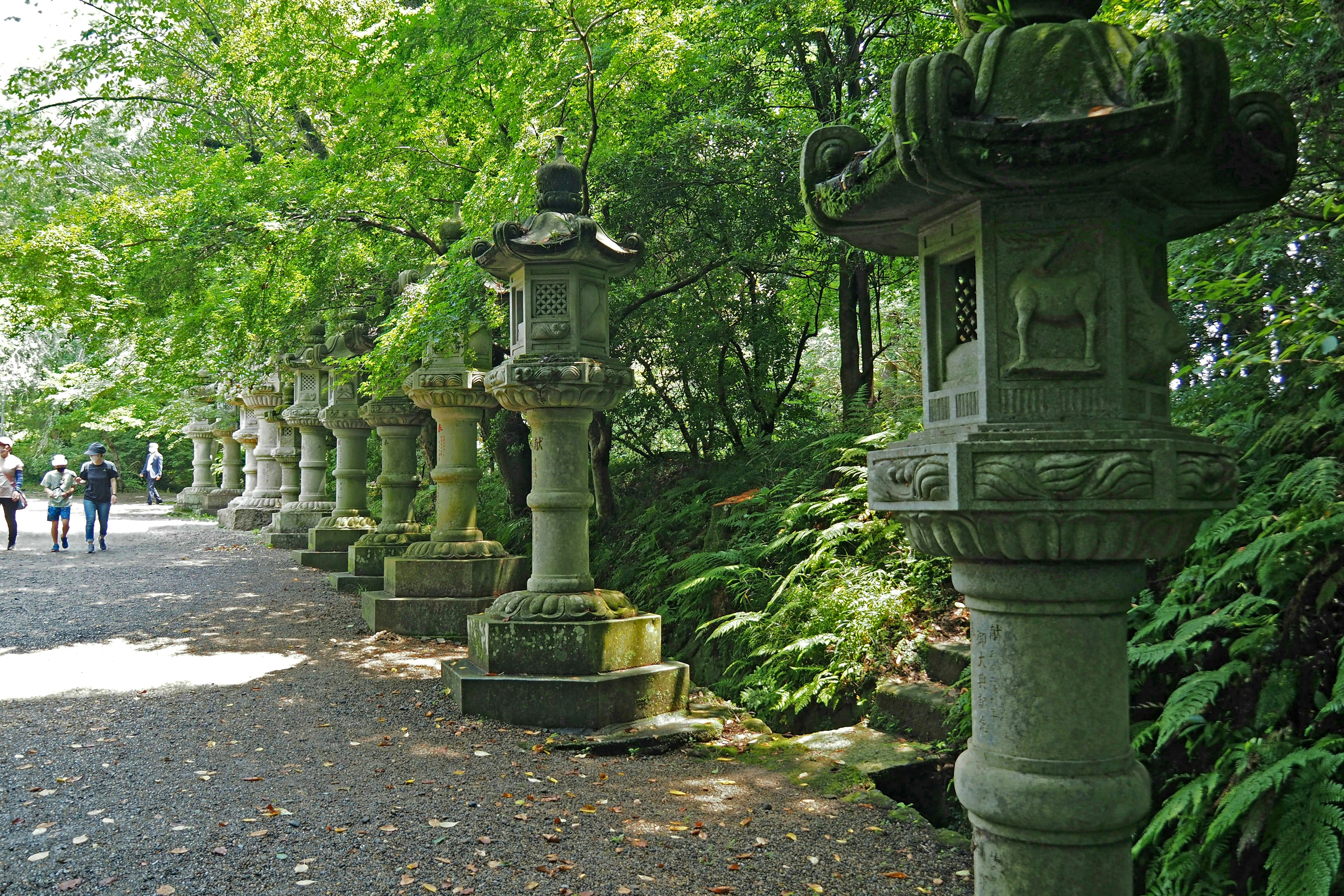 Path lined with stone lanterns surrounded by lush green trees