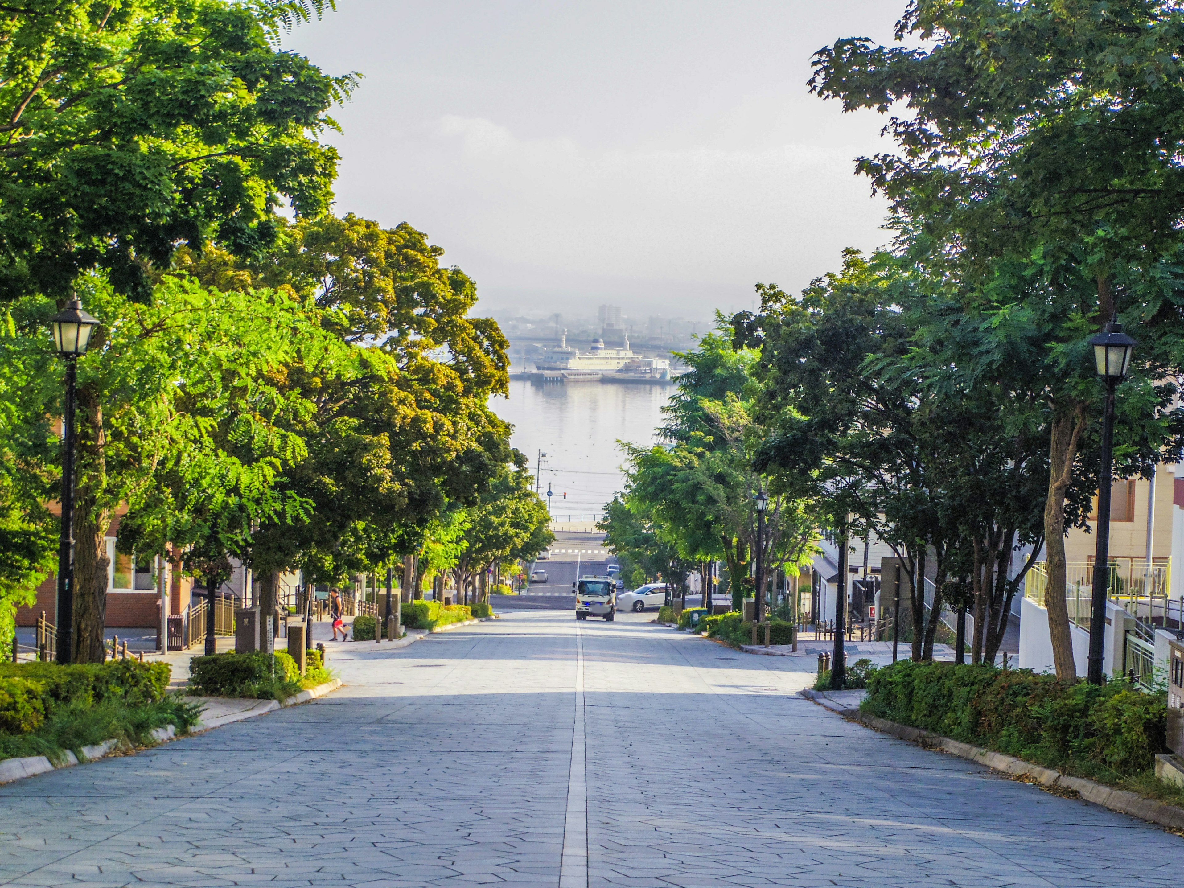 A serene street view lined with lush green trees overlooking a body of water