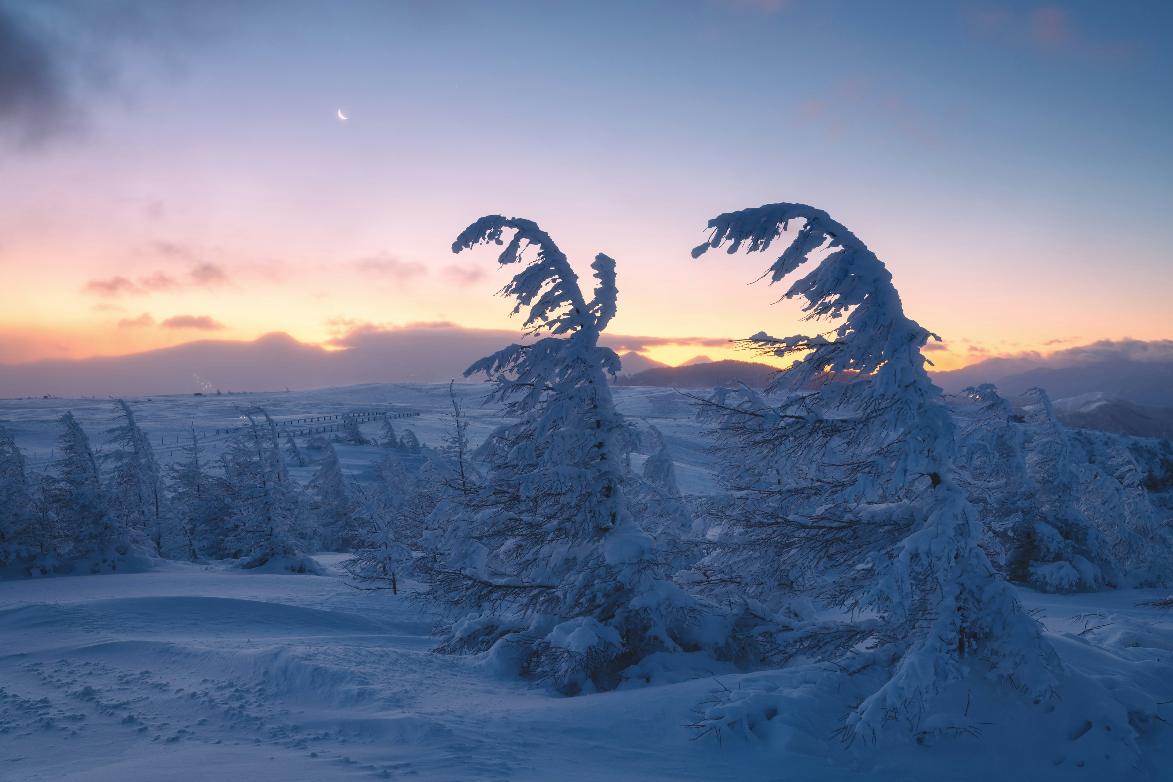 雪に覆われた木々と美しい夕焼けの風景