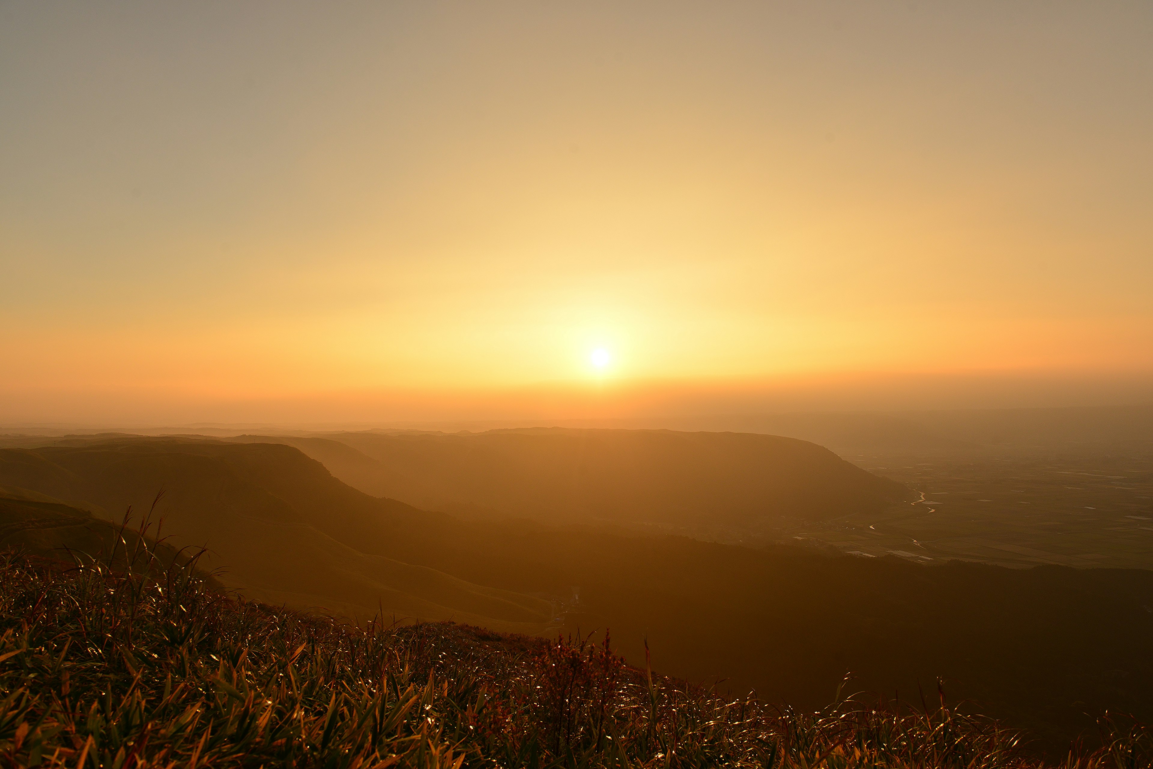 Vista panoramica del tramonto sulle montagne con fiori in primo piano