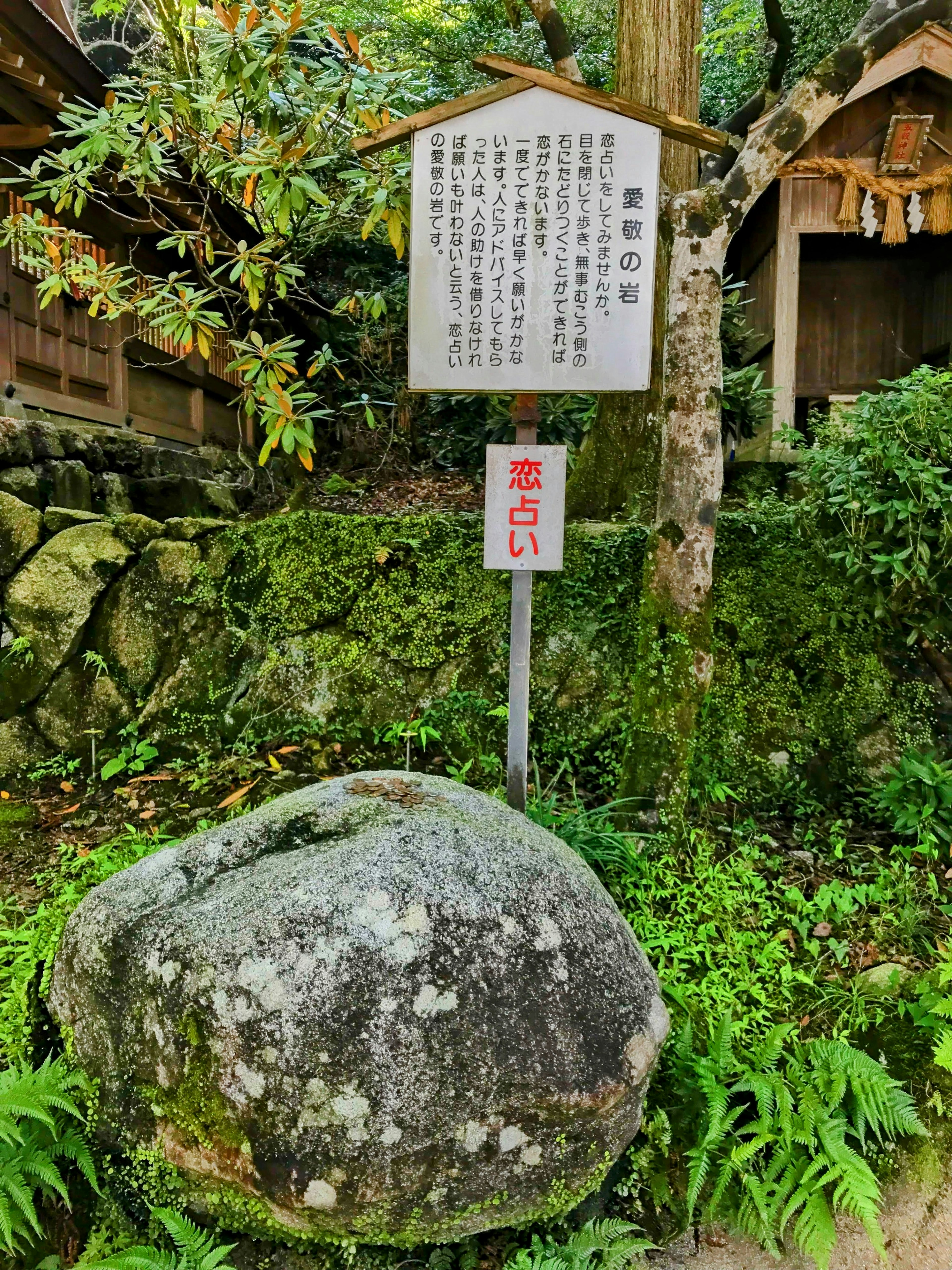 A rock with an informational sign surrounded by greenery