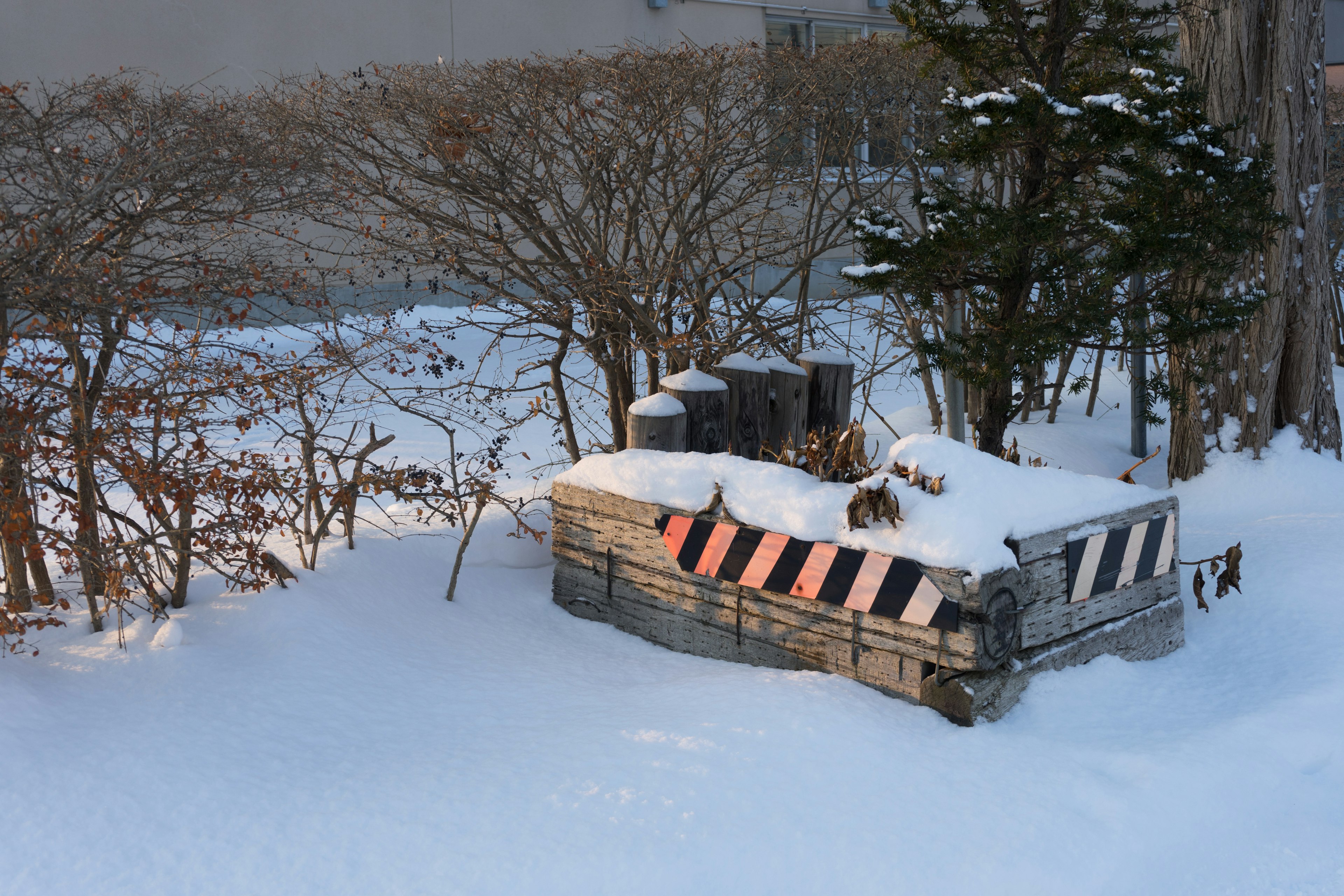 Snow-covered old wooden structure with surrounding trees