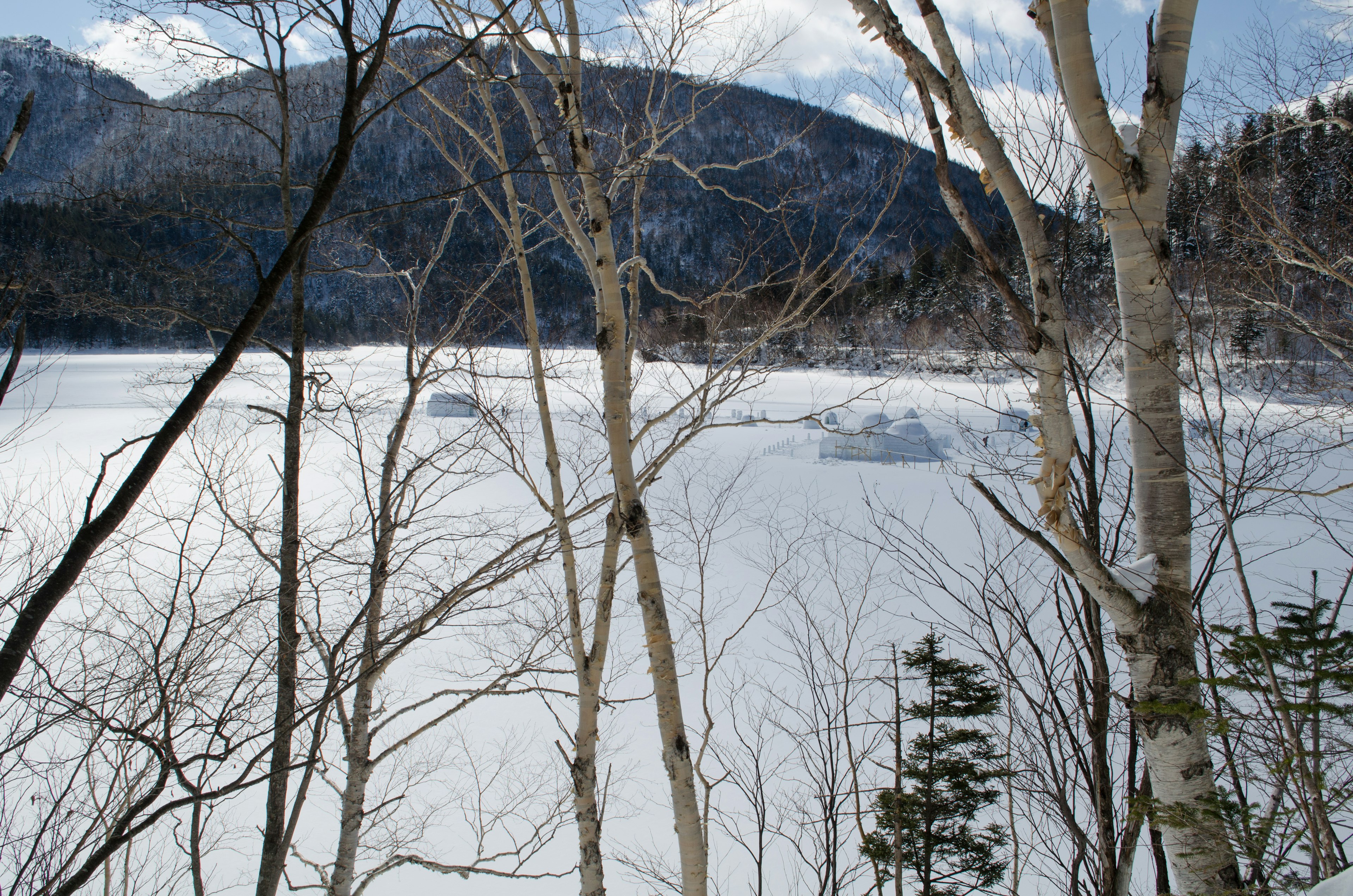 Winter landscape with birch trees overlooking a frozen lake and mountains