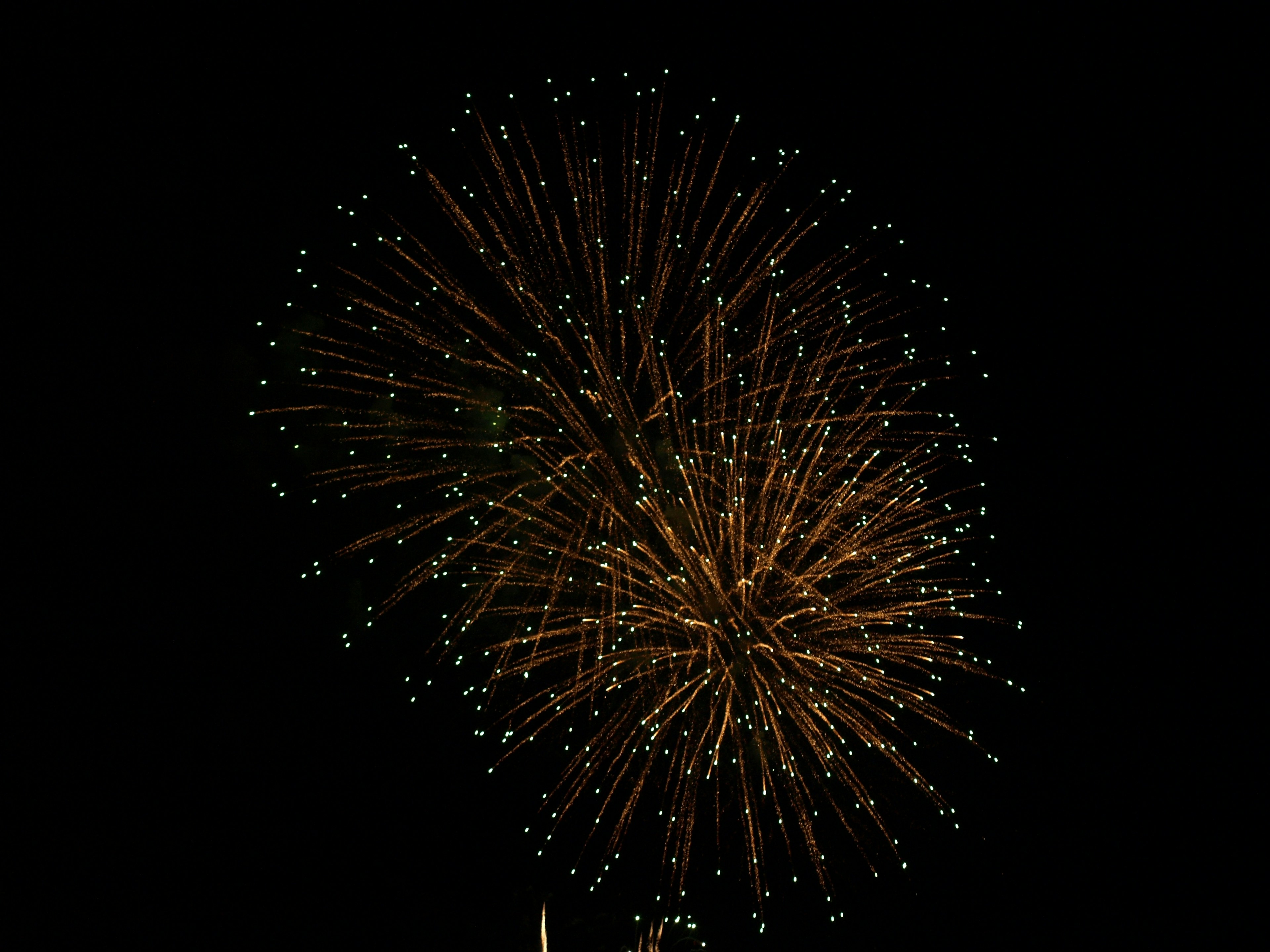 Golden fireworks bursting in the night sky