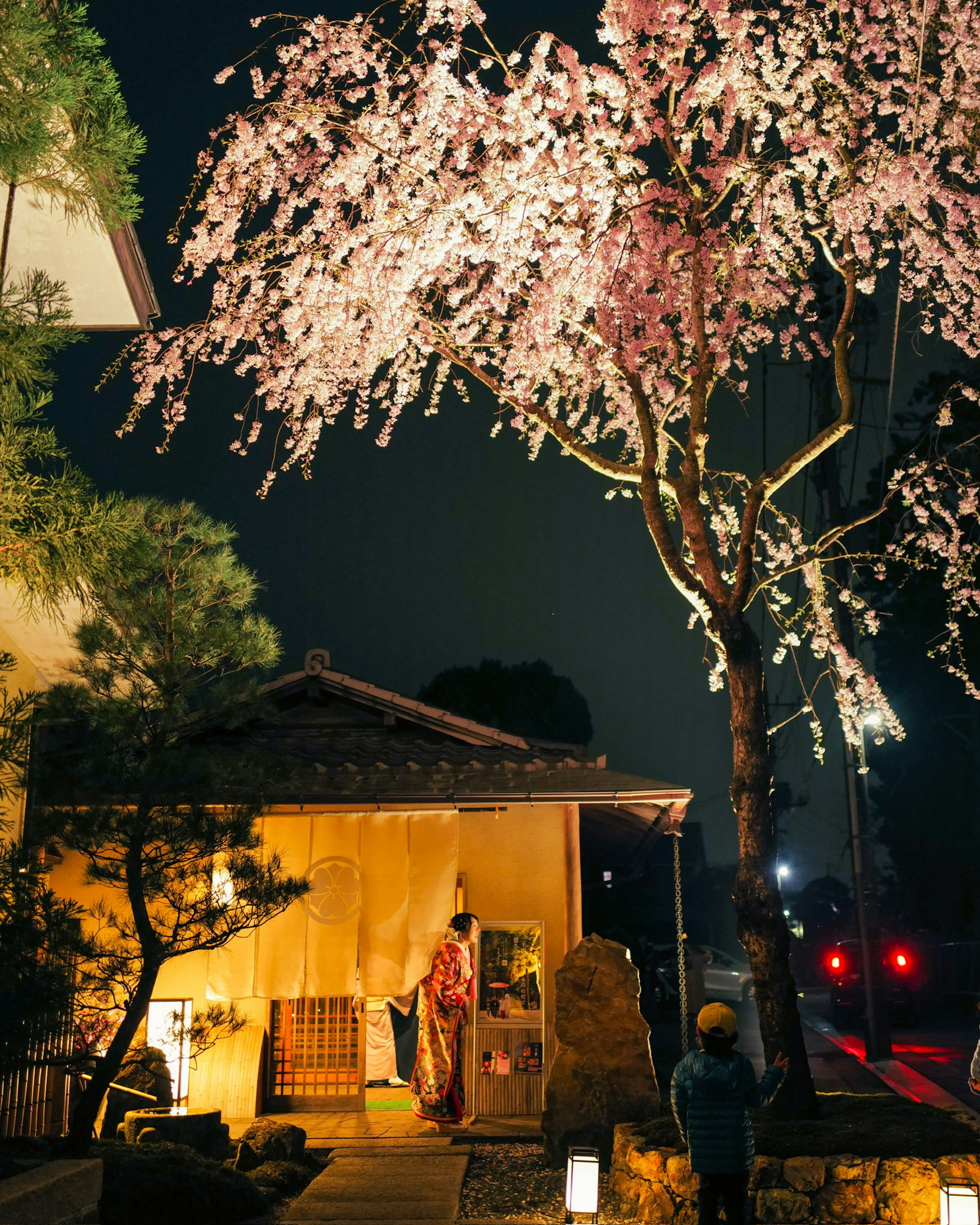 Traditional building under cherry blossoms at night with a woman in kimono