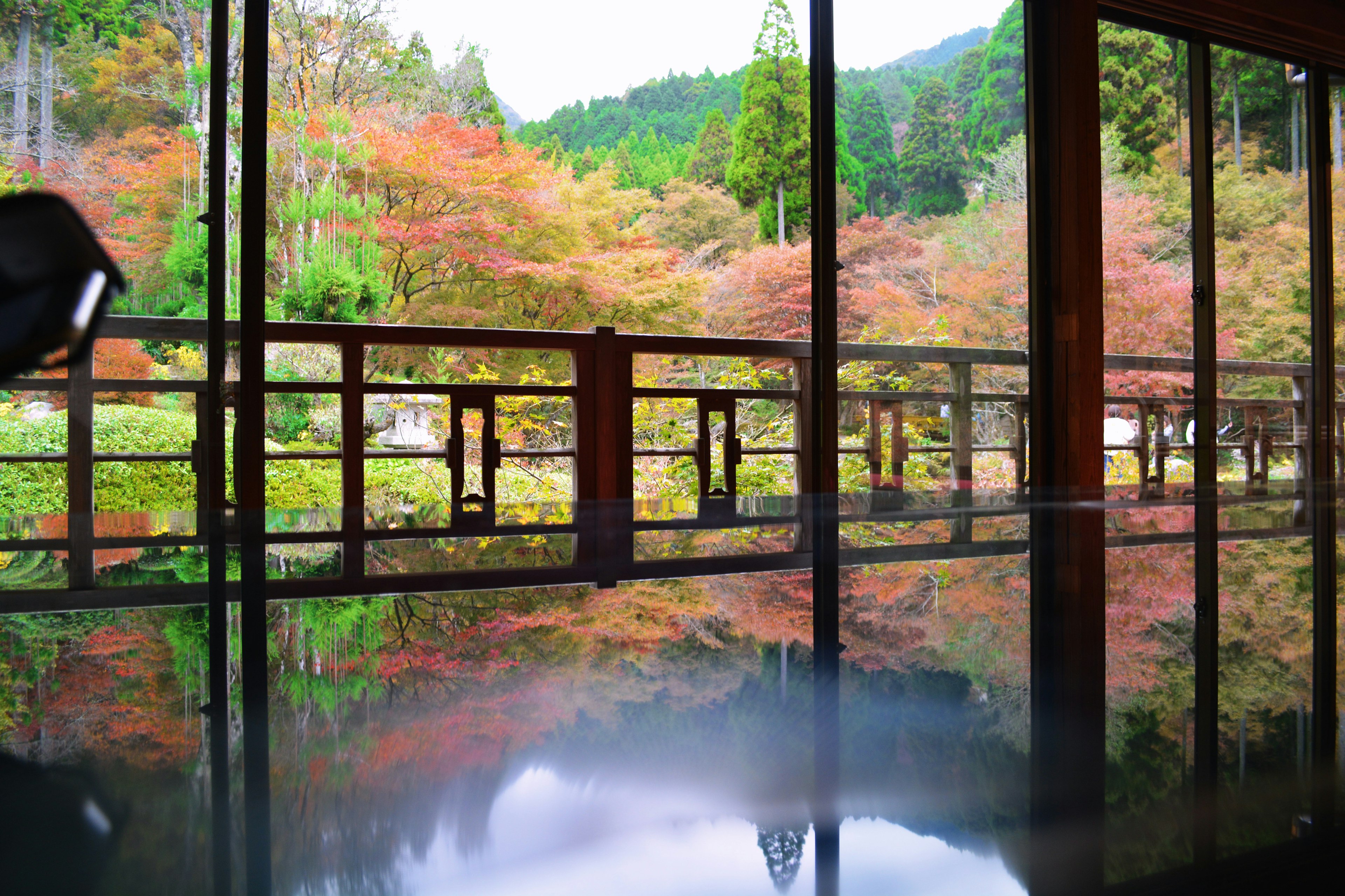 Scenic view of vibrant autumn foliage reflected in a tranquil surface