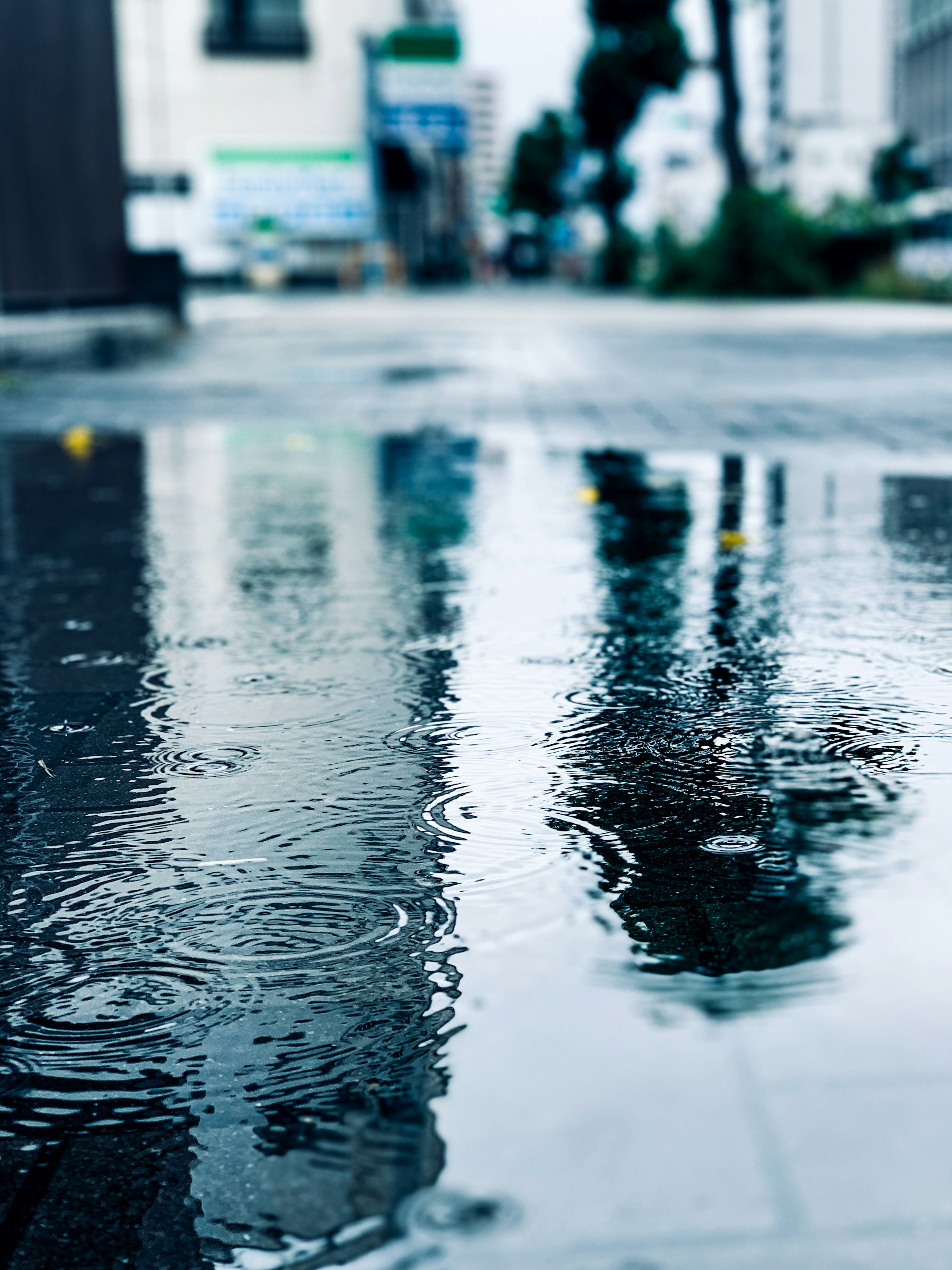 Reflejo en un charco en una calle de la ciudad bajo la lluvia con gotas de lluvia