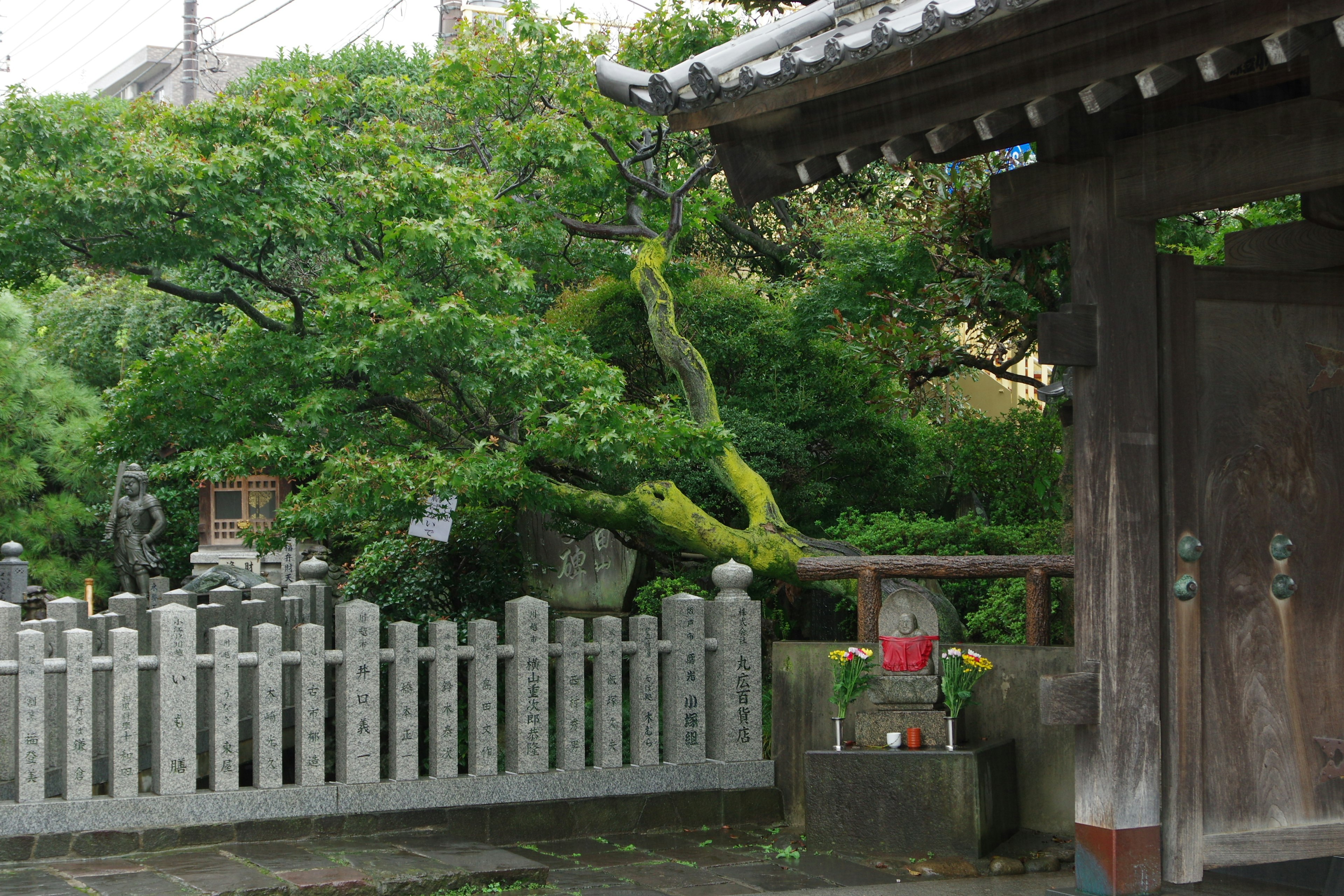 Image montrant un jardin verdoyant avec une partie d'un vieux bâtiment présentant des branches d'arbres distinctives et des sculptures en pierre dans les environs