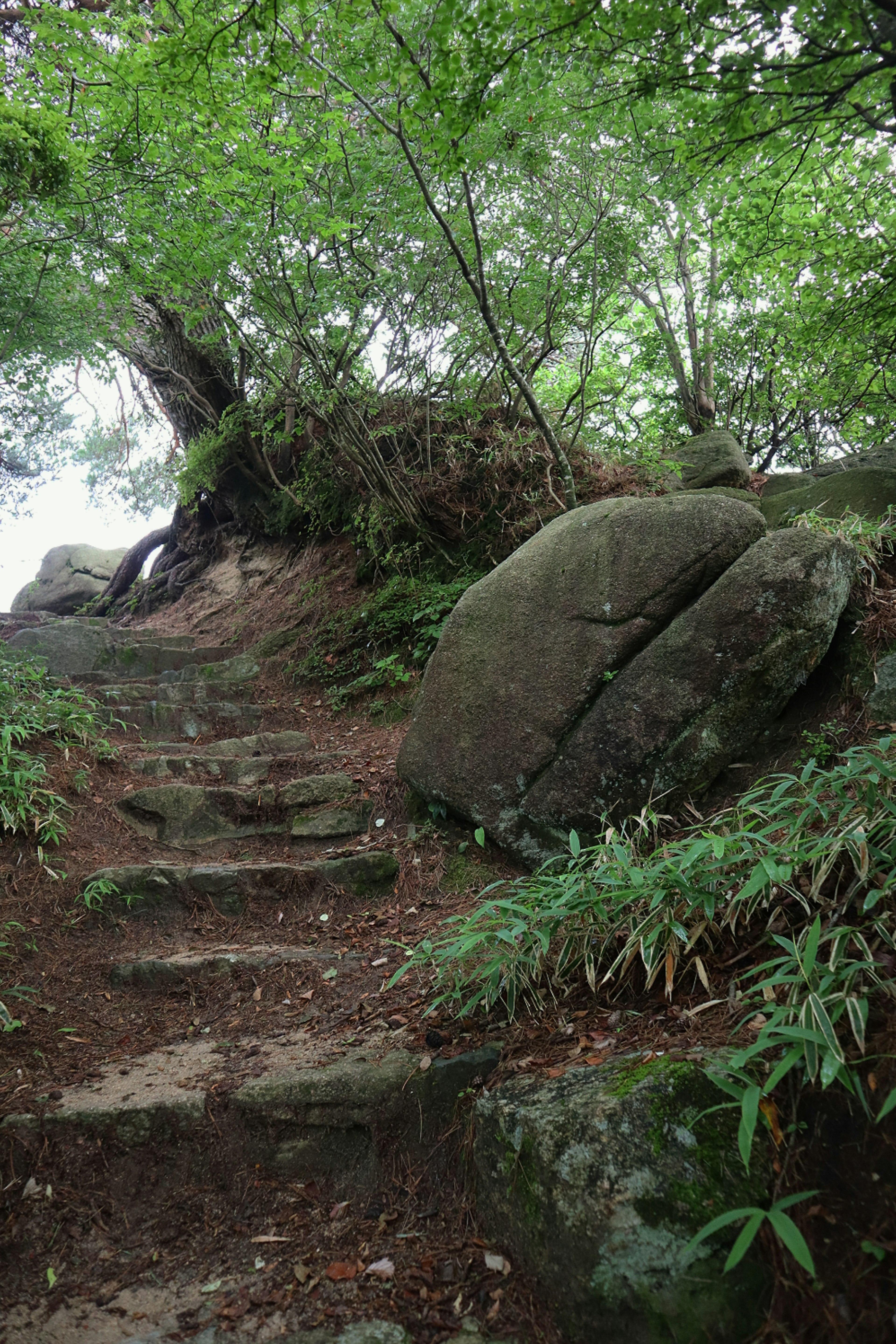 Scenic view of stone steps surrounded by greenery and a large rock