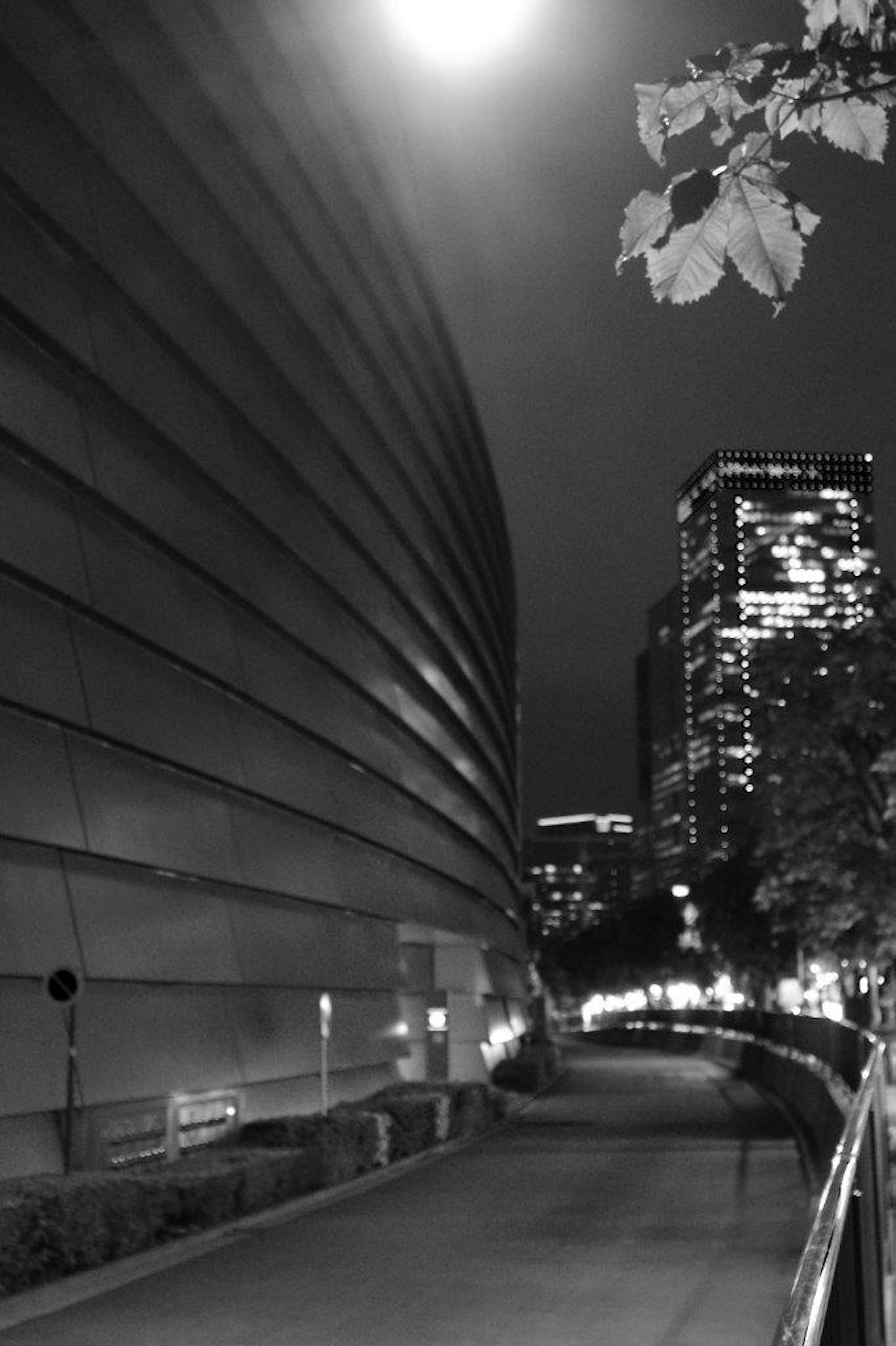 Contraste de un edificio curvo y rascacielos en un paisaje urbano nocturno