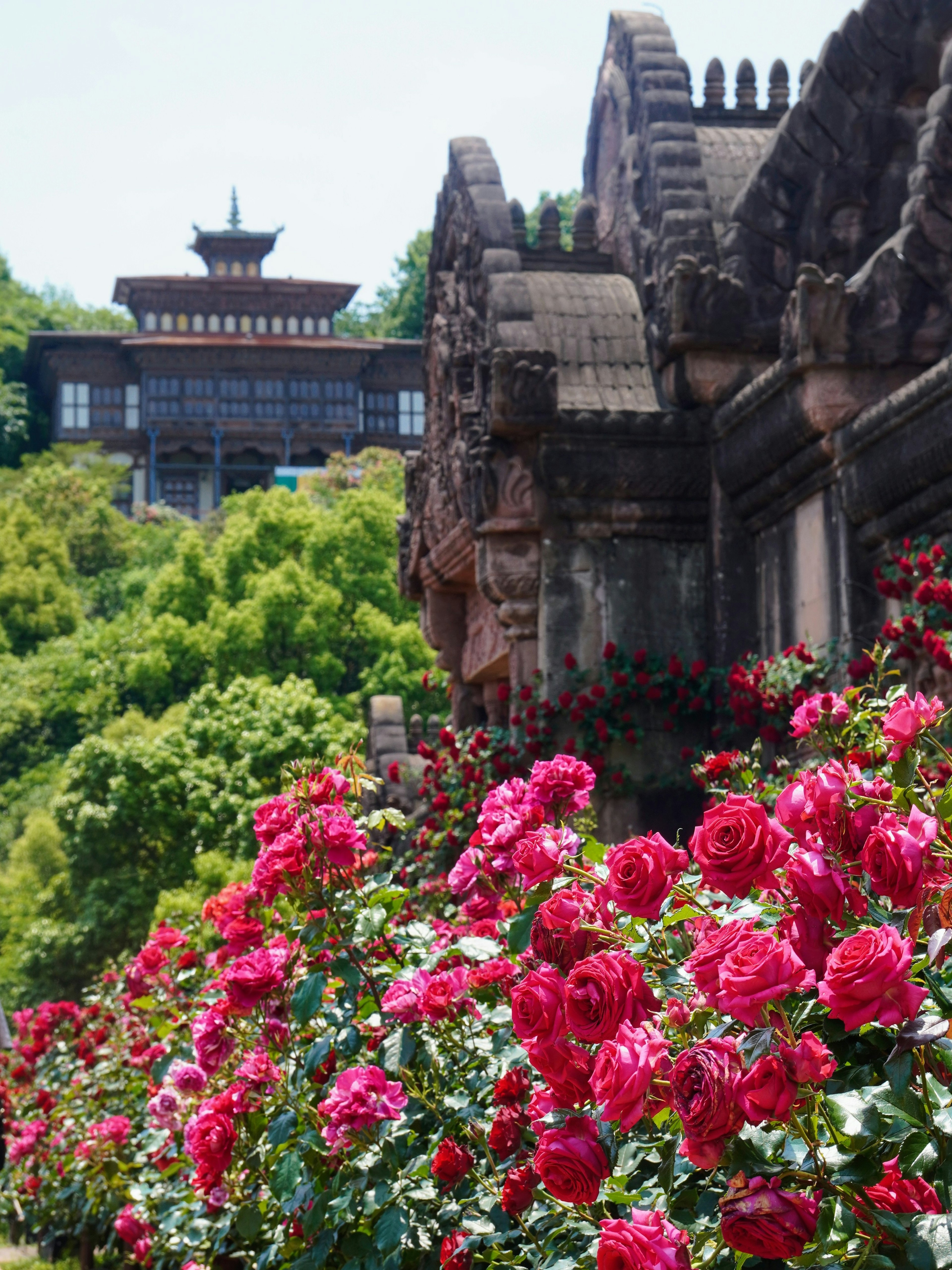 A vibrant garden filled with blooming roses and ancient architecture