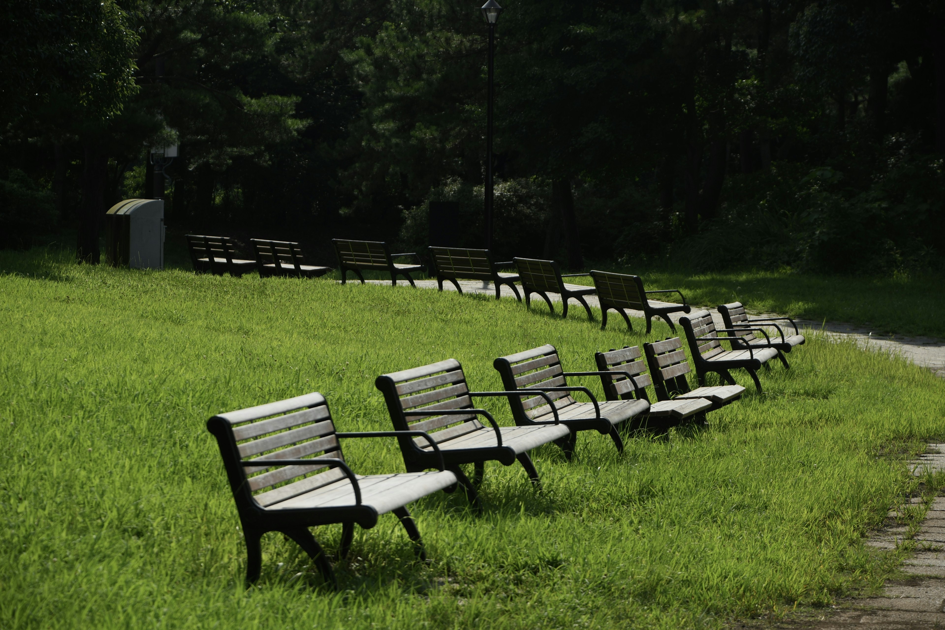 Park scene with benches lined along green grass