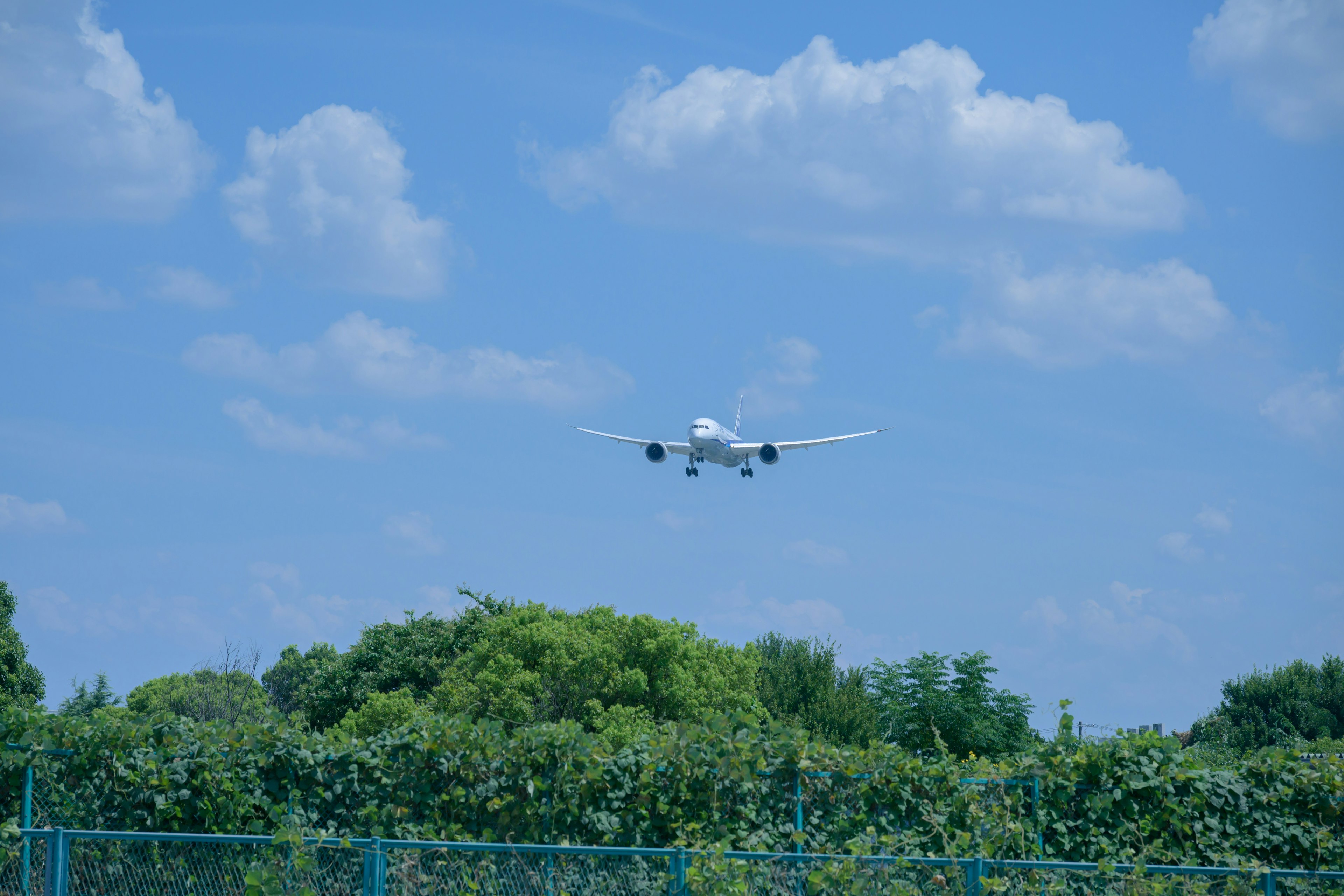 Ein weißes Flugzeug landet vor einem blauen Himmel mit Wolken und grünen Bäumen