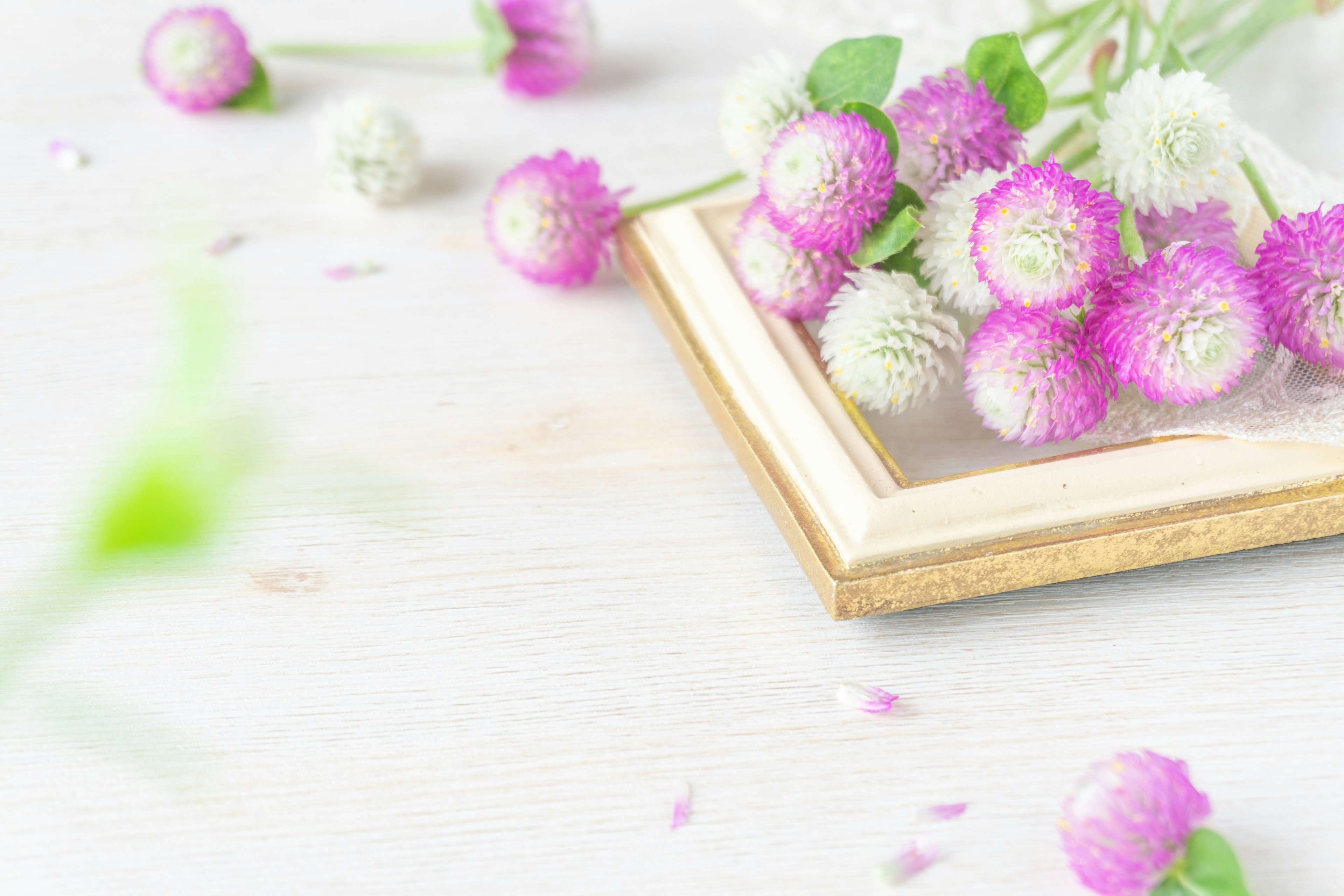 Pink flowers scattered near a wooden frame