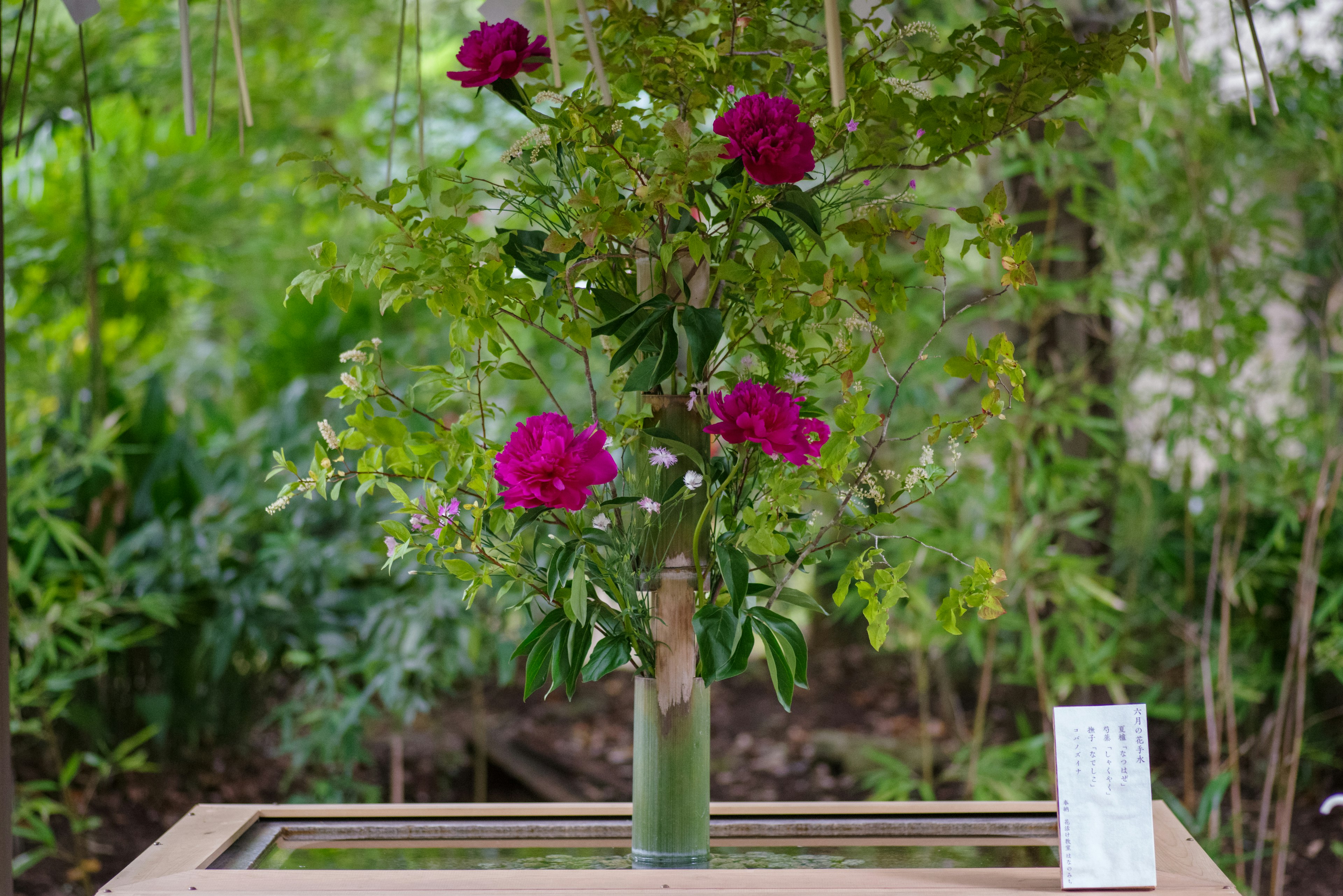 Eine Glasvase mit lila Blumen vor grünem Hintergrund