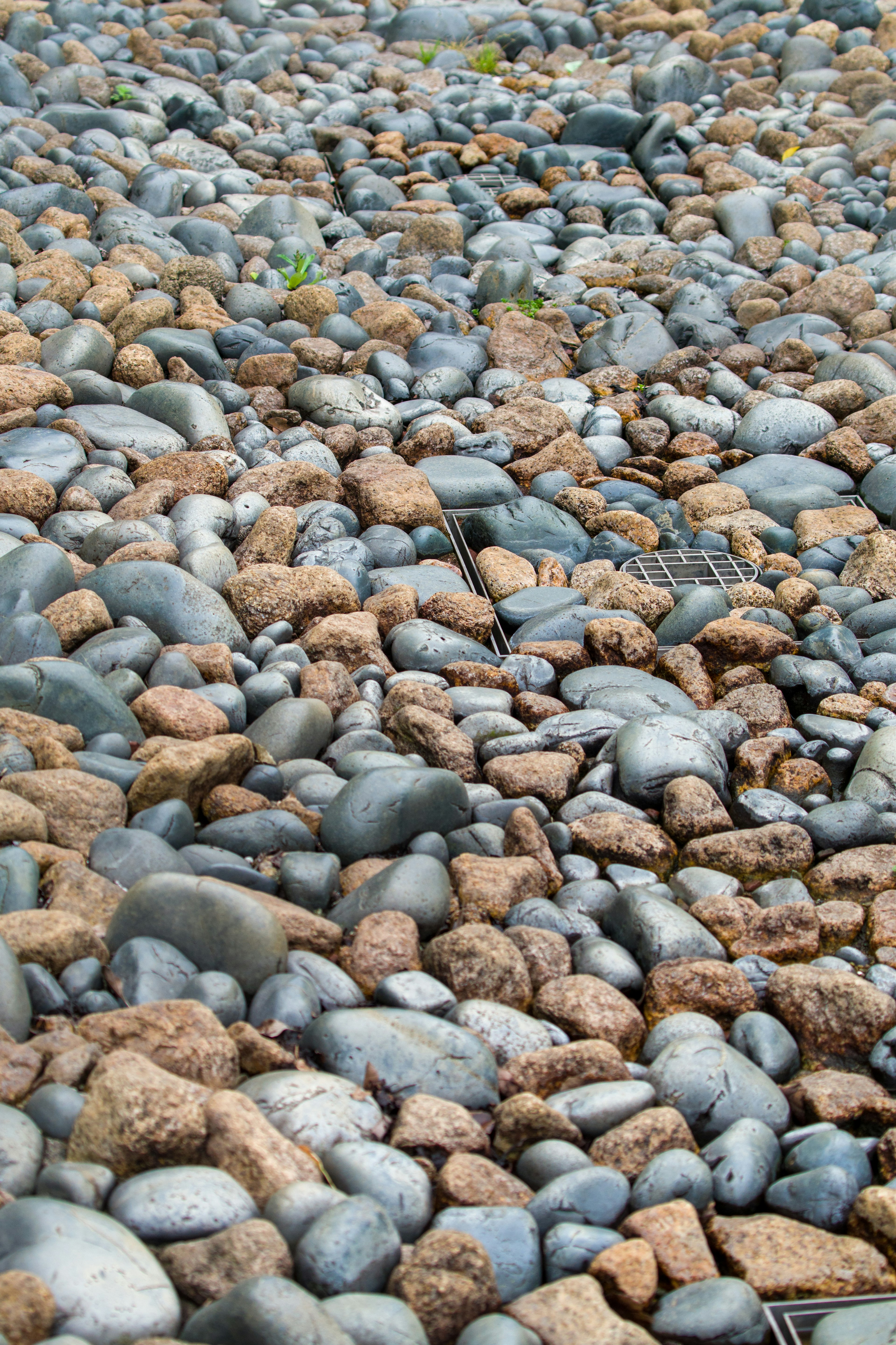 A landscape of various colored stones scattered on the ground