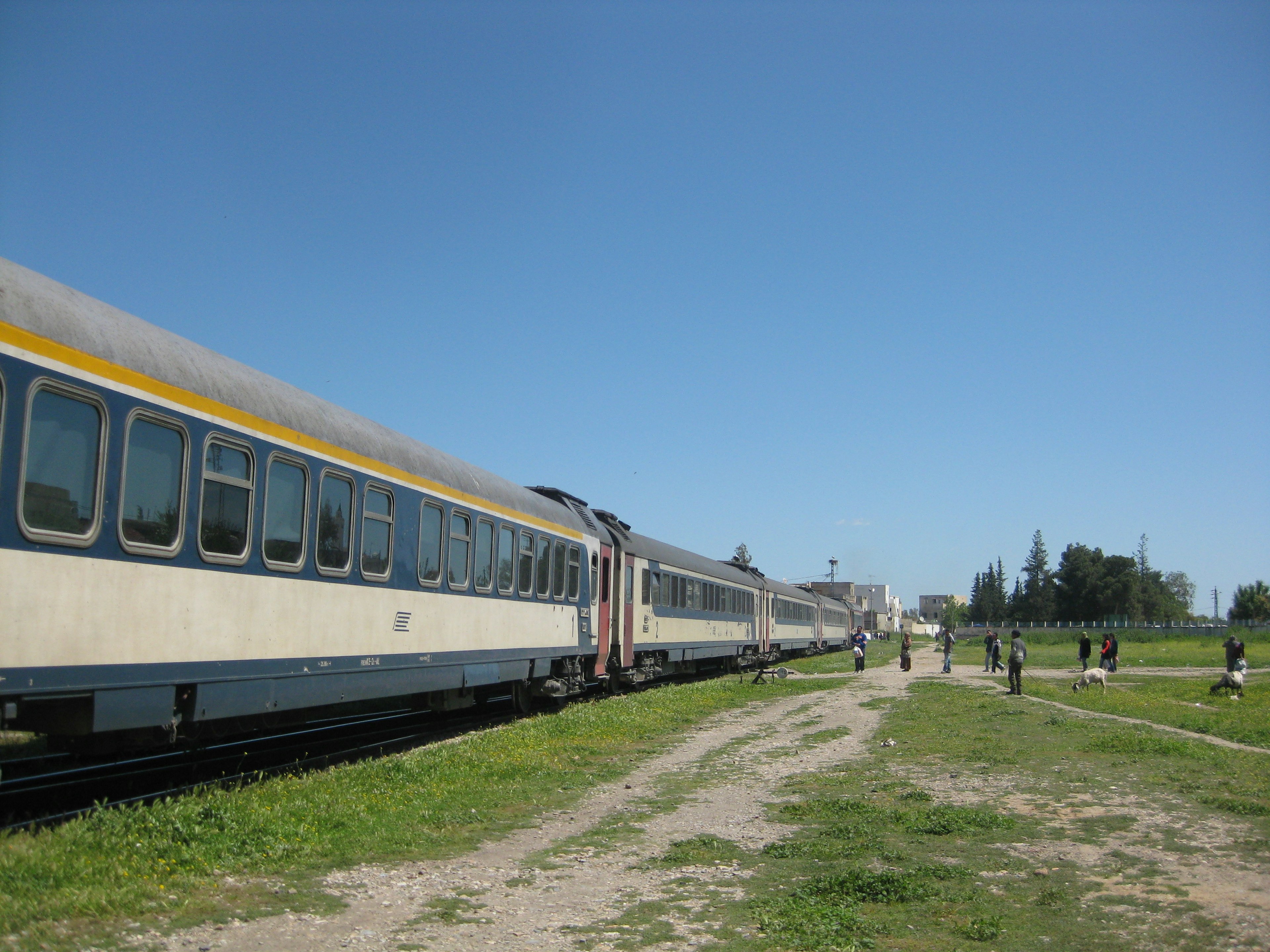 Treno parcheggiato sotto un cielo azzurro con prati circostanti