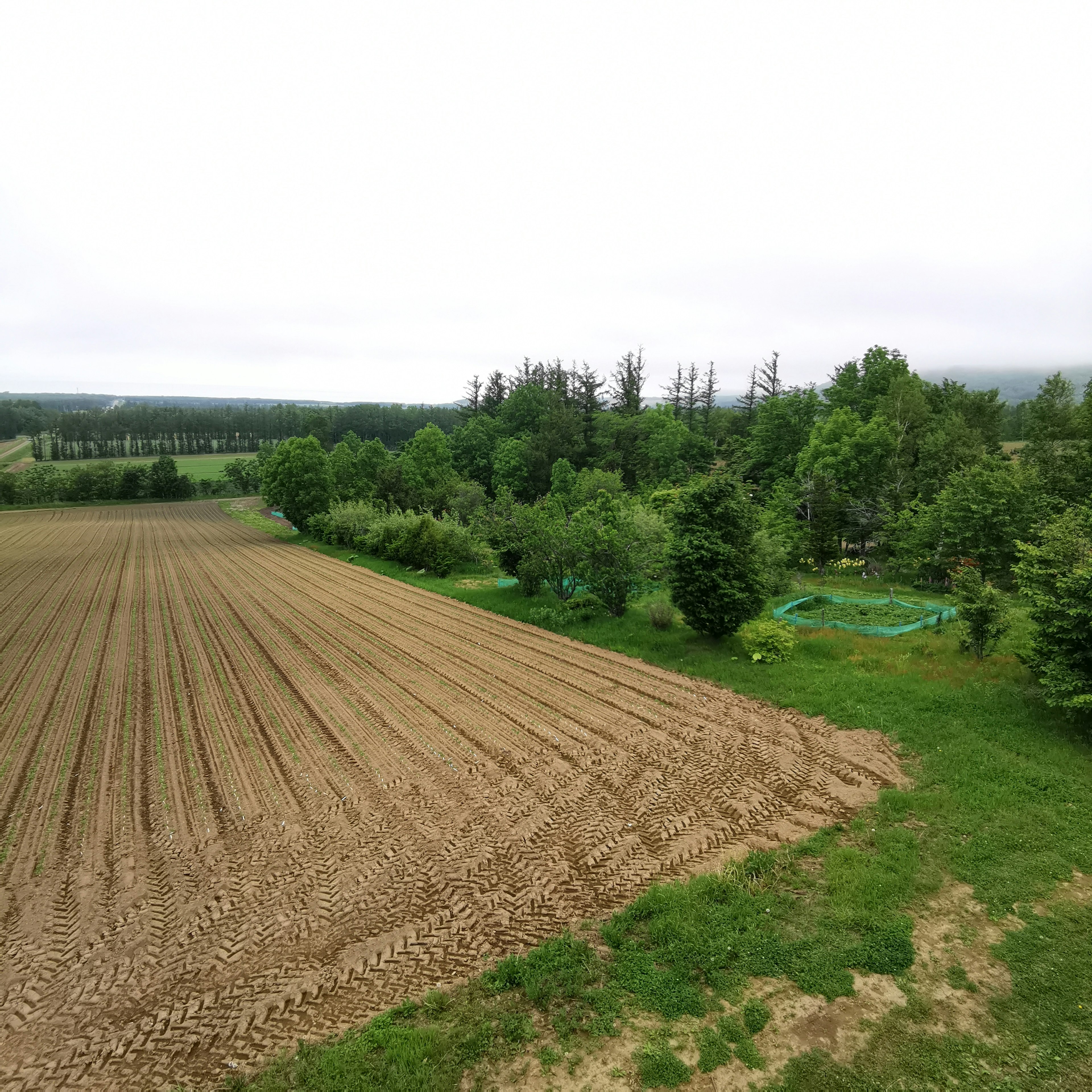 Paesaggio agricolo lussureggiante con campi e alberi