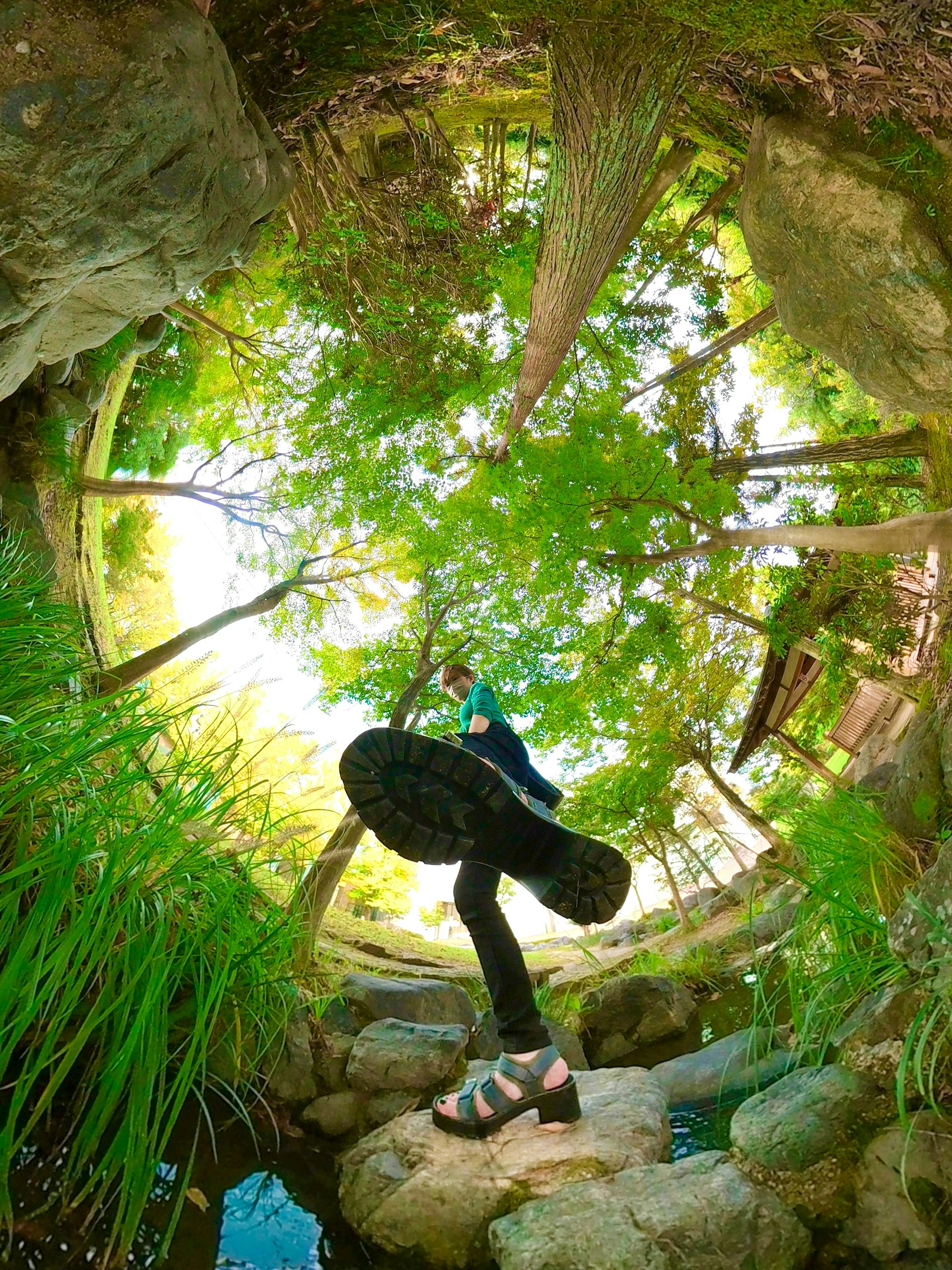 Silhouette di una persona che cammina su rocce in una foresta verdeggiante