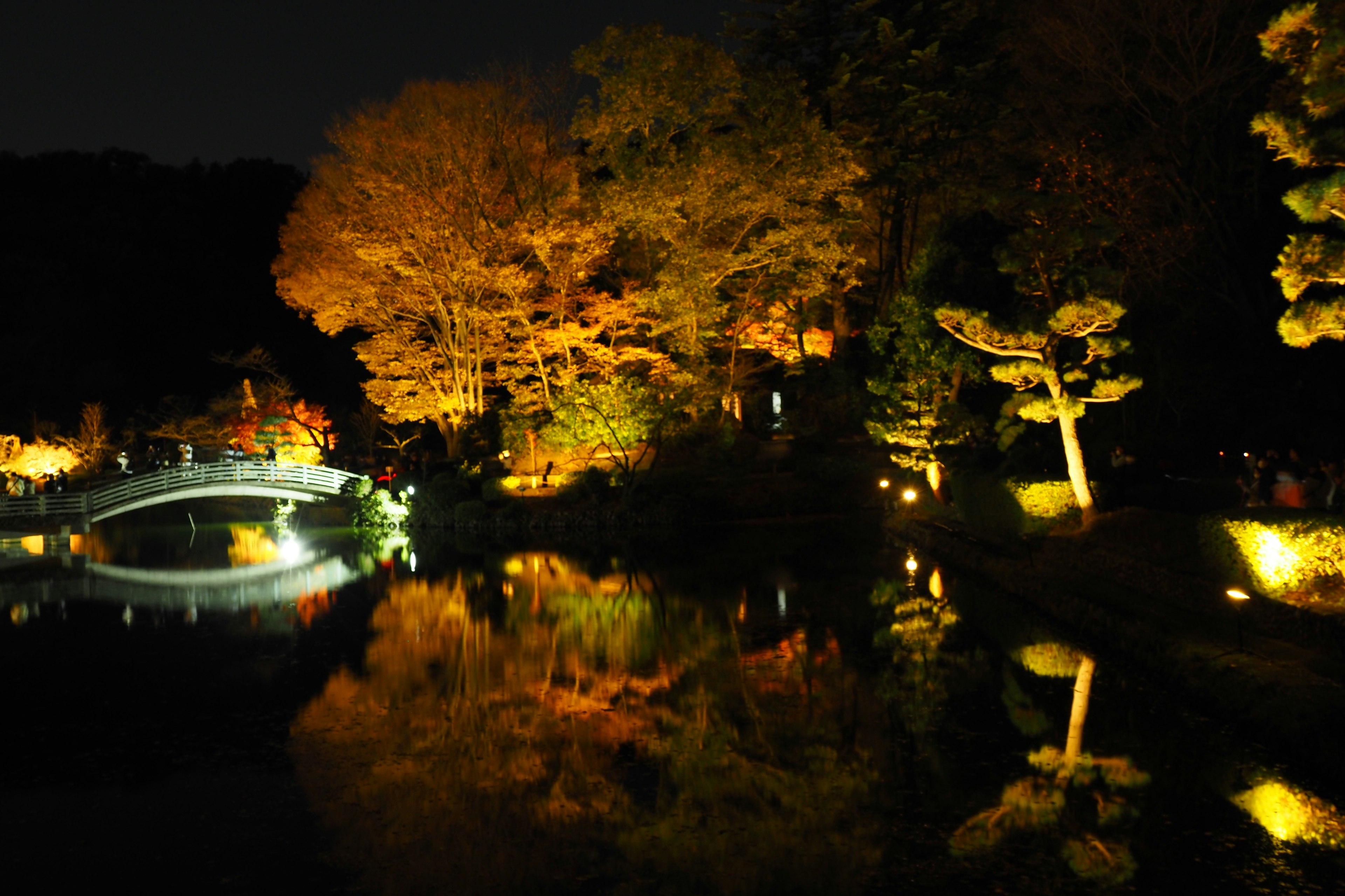 Feuillage d'automne illuminé et reflet d'un pont dans un jardin nocturne