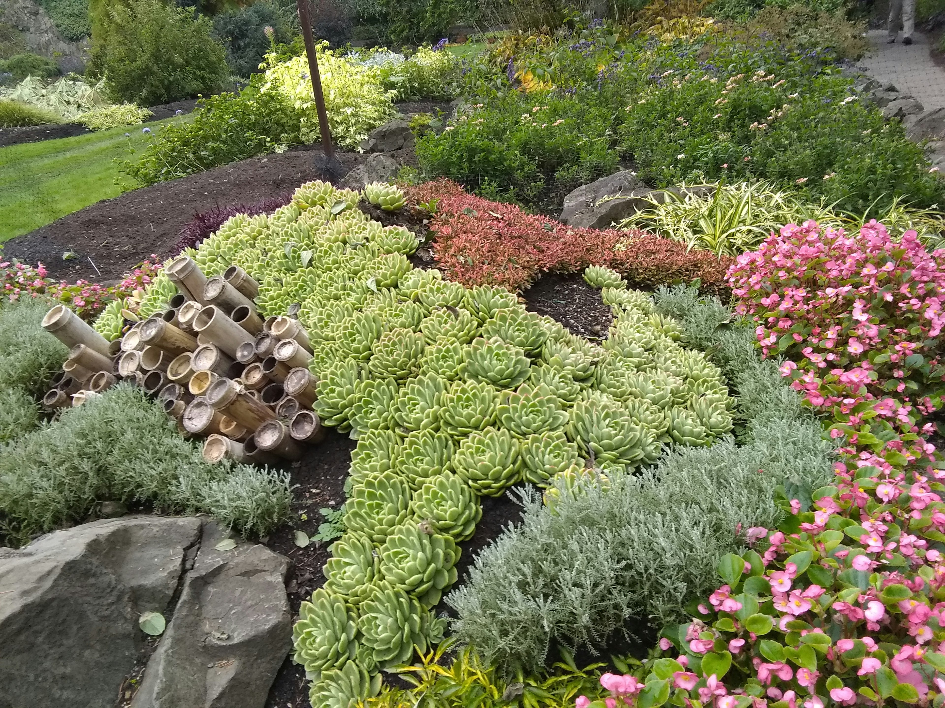 色とりどりの花と緑の植物が美しく配置された庭の景観