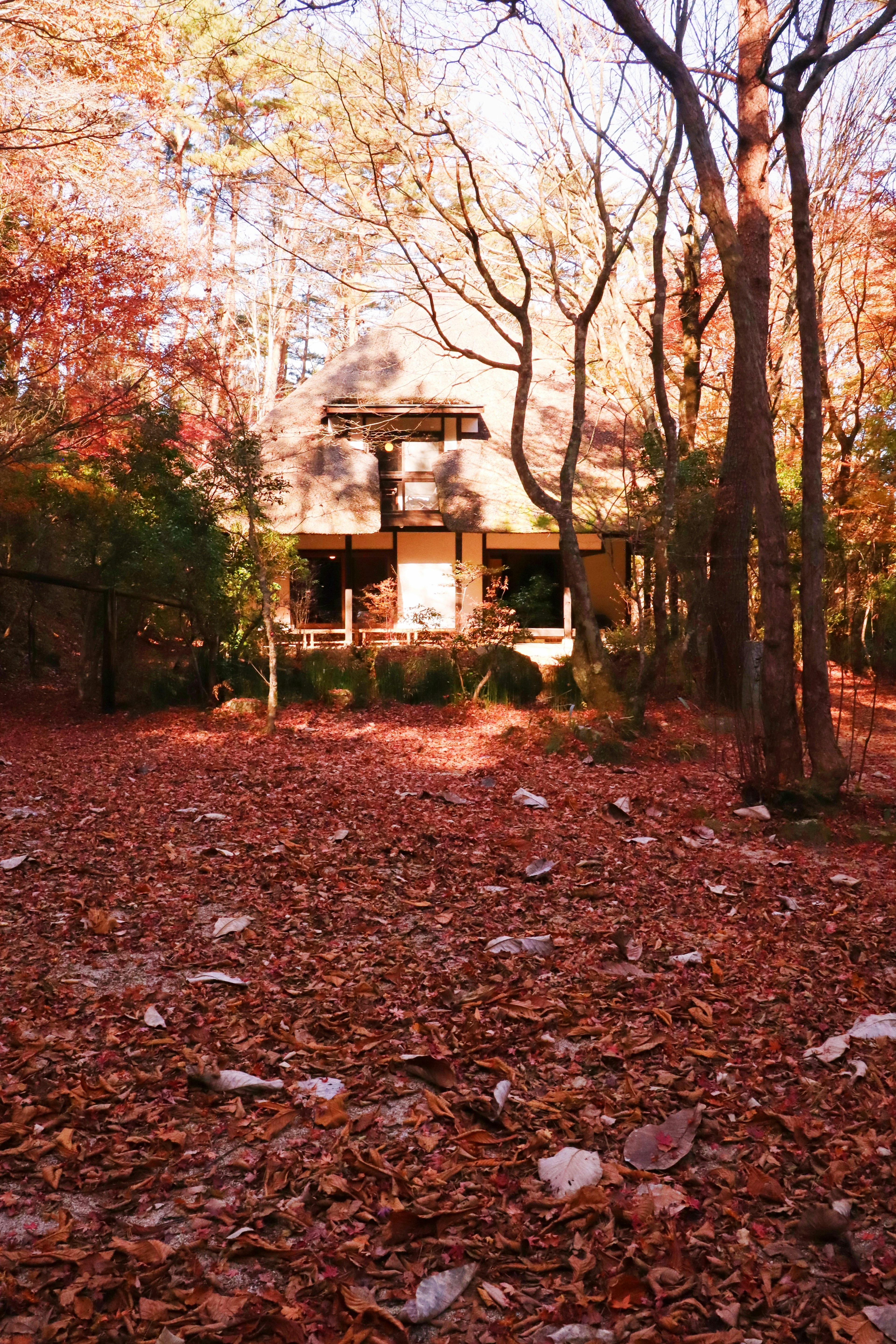 Haus umgeben von herbstlichem Laub