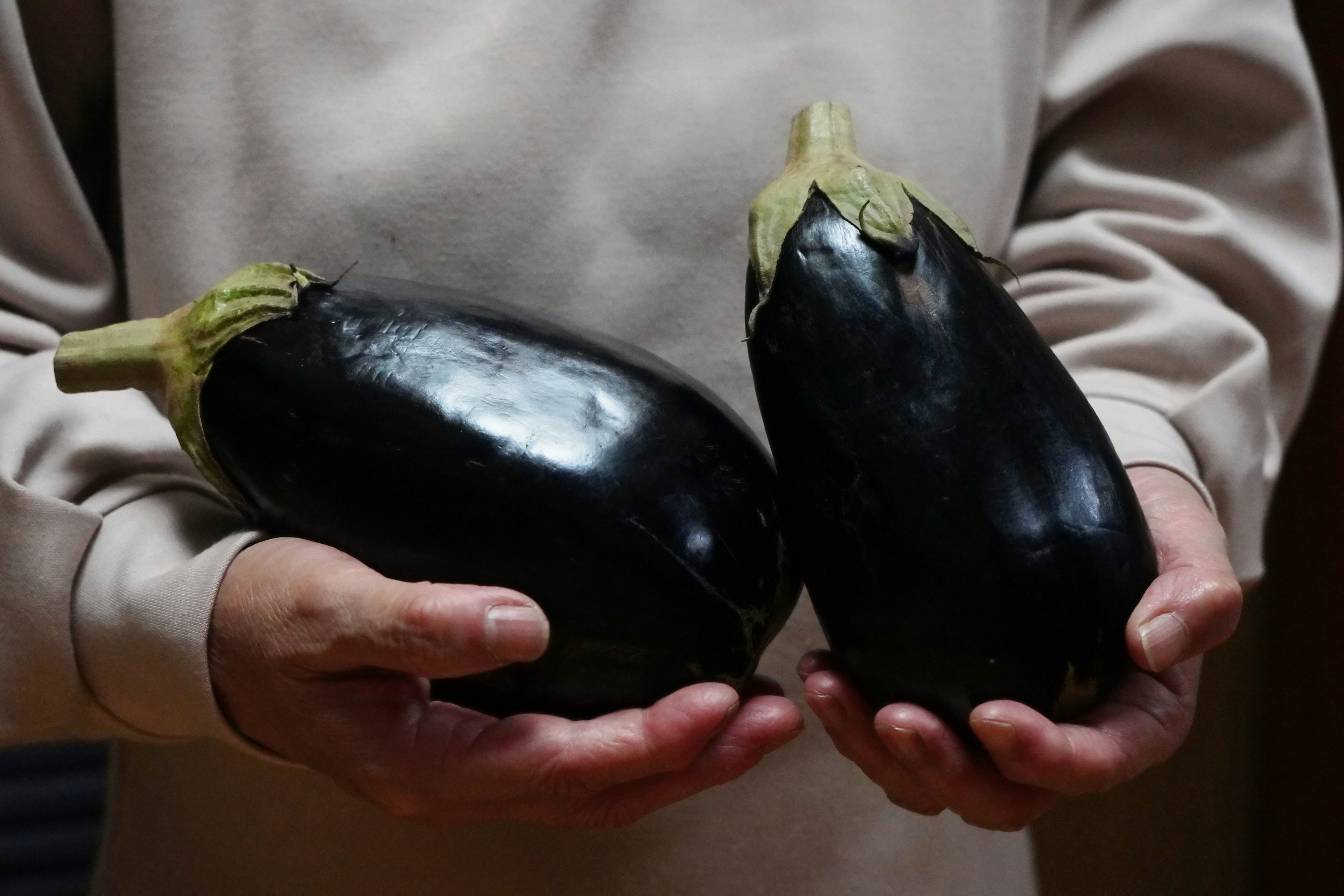 Deux aubergines noires tenues dans des mains