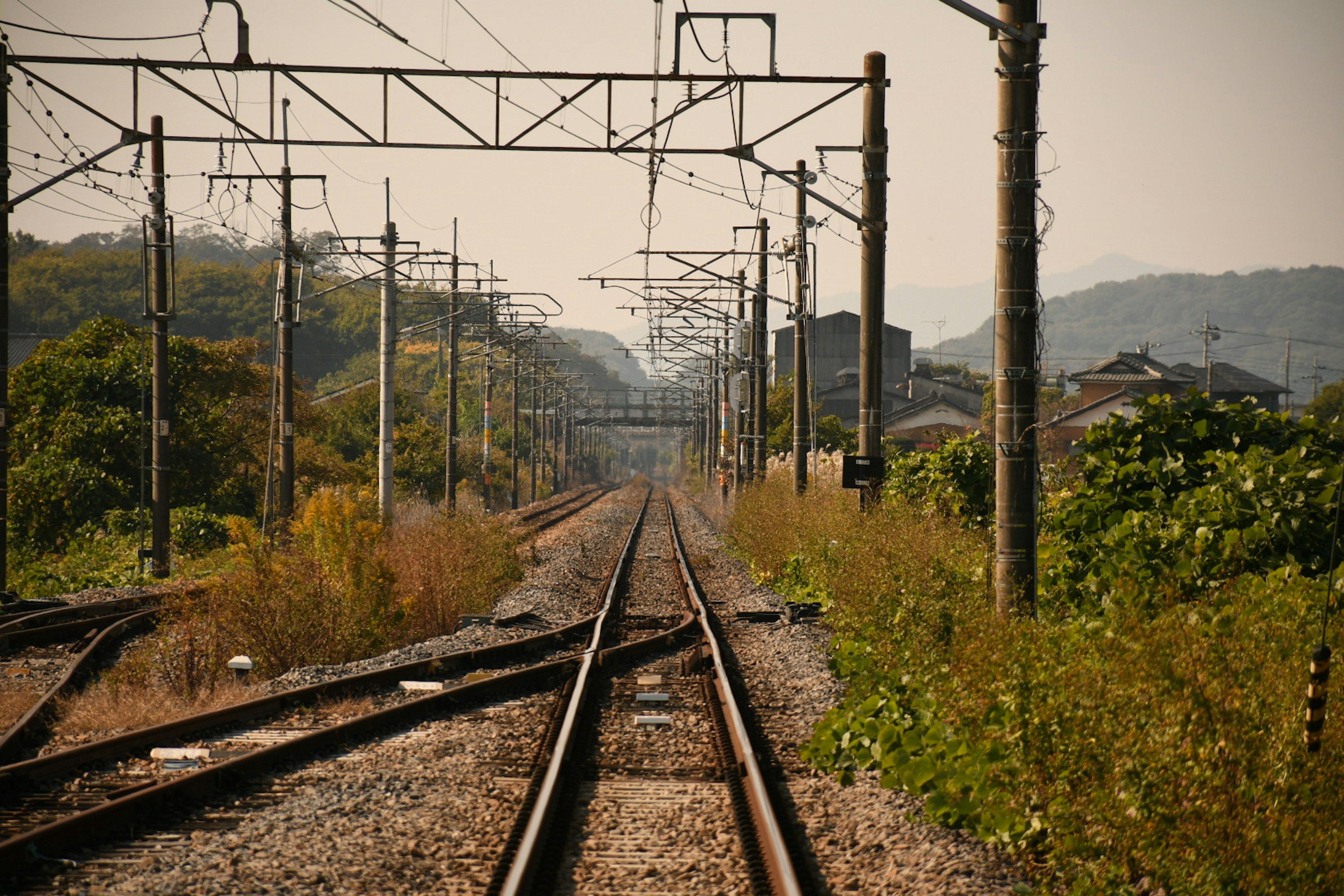 Eisenbahnschienen, die sich in der Ferne erstrecken, umgeben von Grün