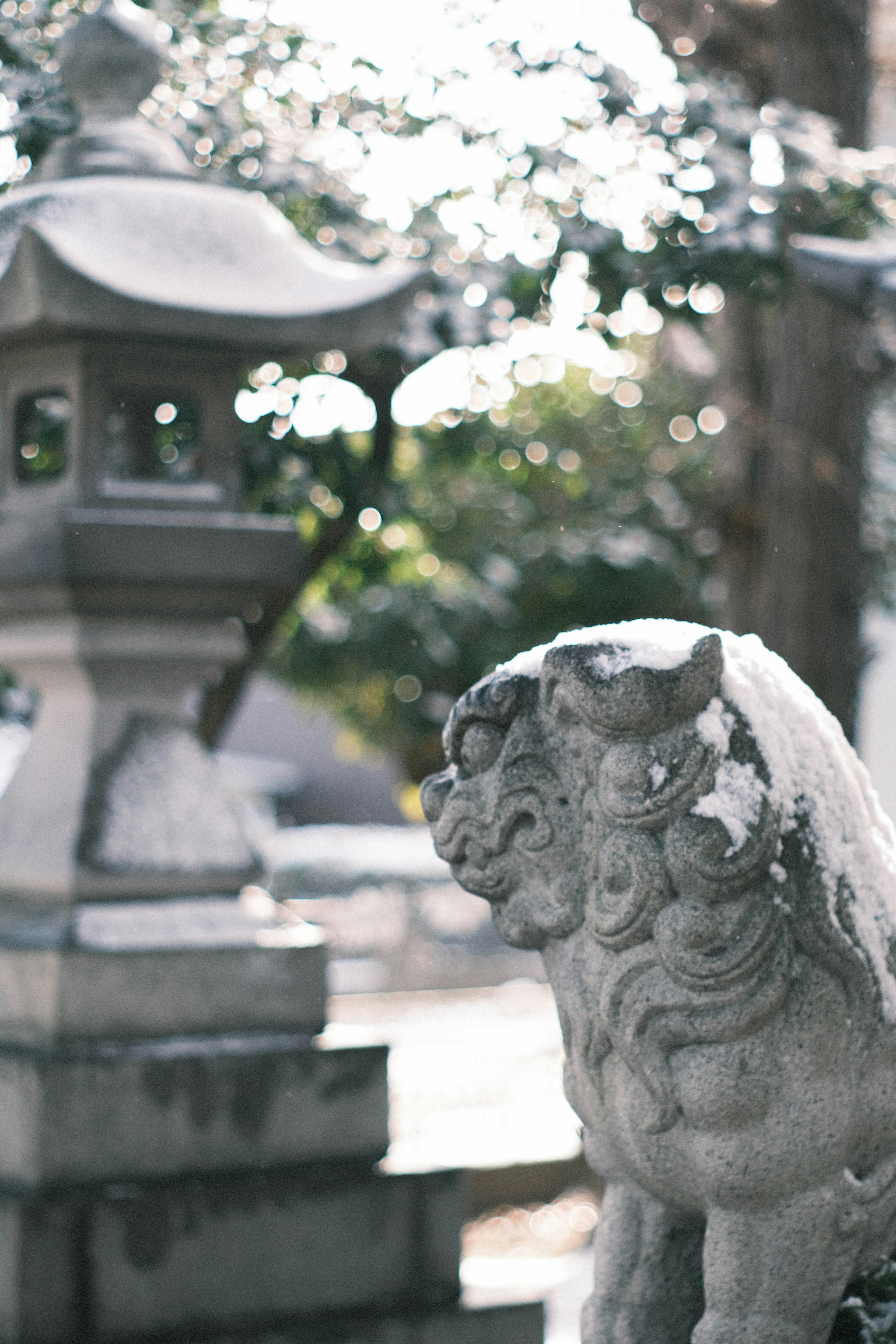 Perro-león de piedra y linterna en un jardín japonés