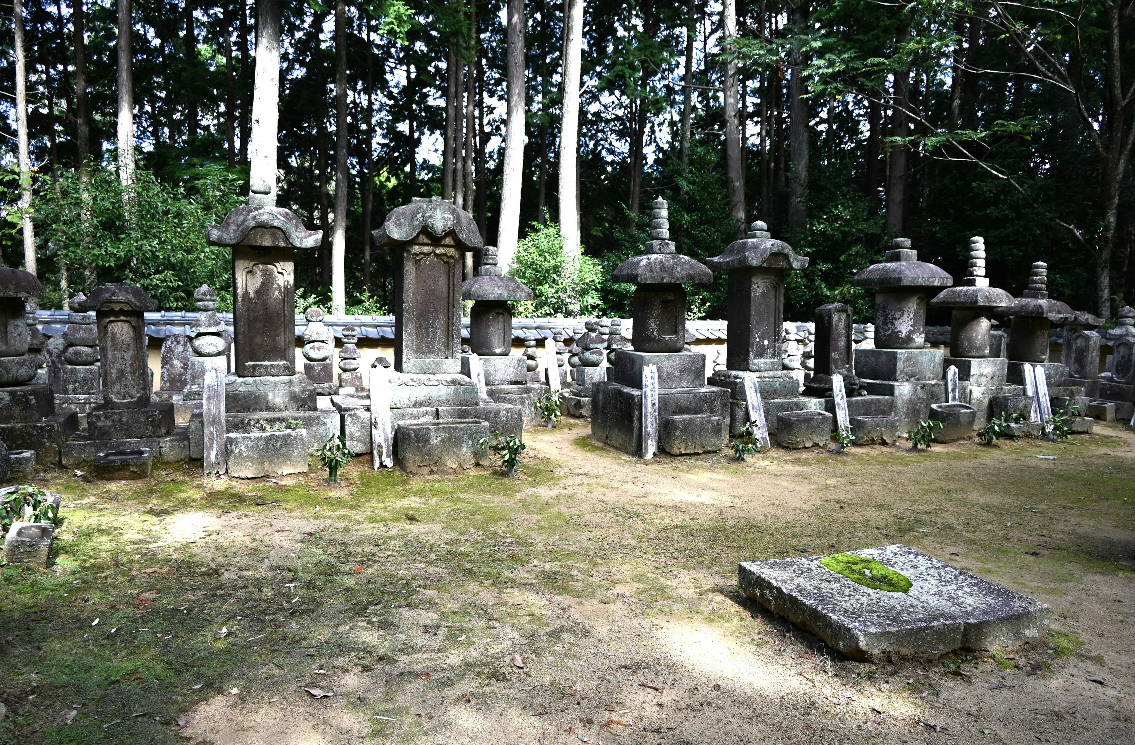 Una escena de cementerio serena con monumentos de piedra rodeados de vegetación exuberante