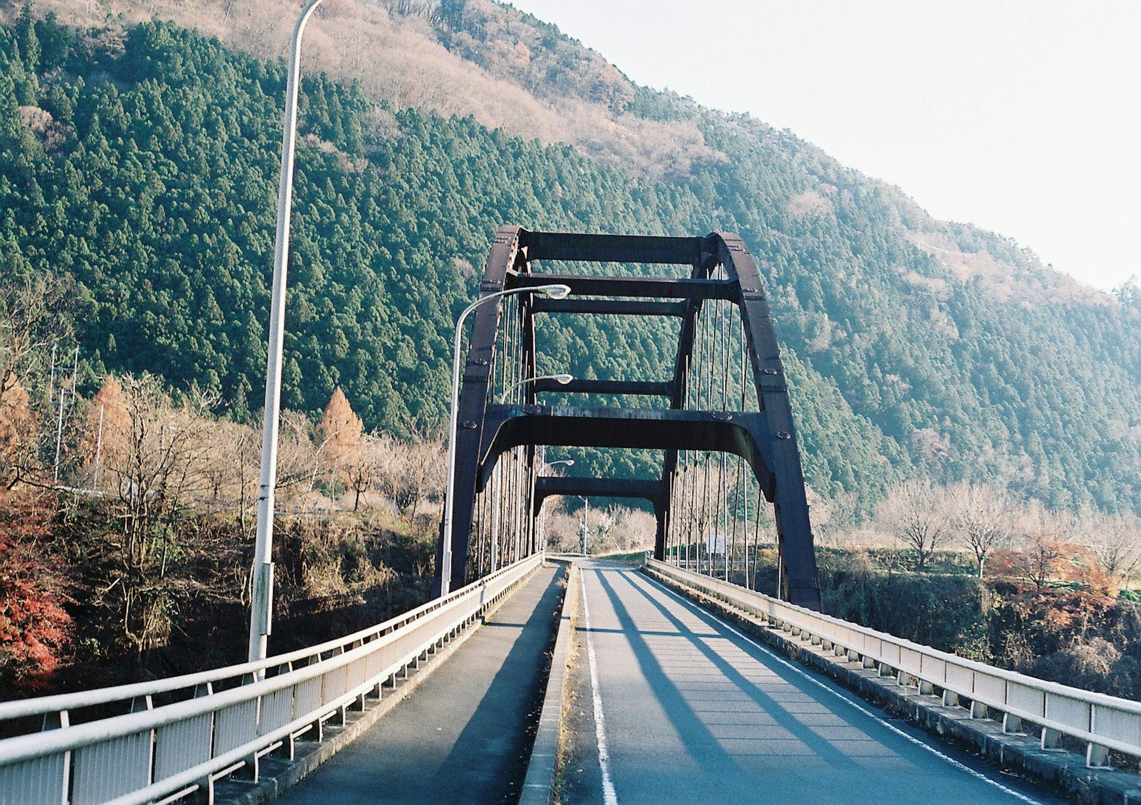 緑の山々に囲まれた鉄橋と道路の風景